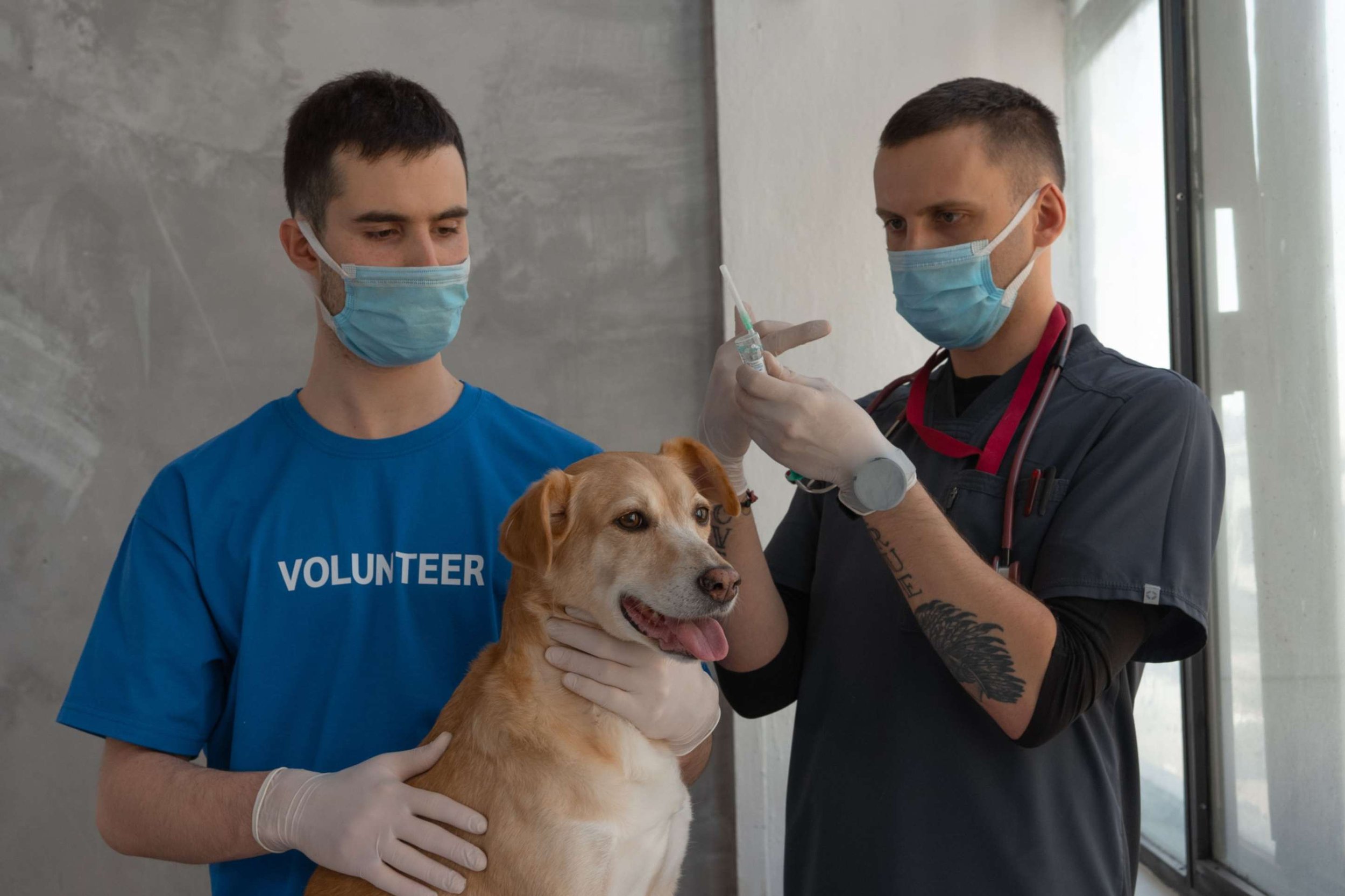 5 Ways a Veterinary Copywriter Can Increase Appointment Bookings