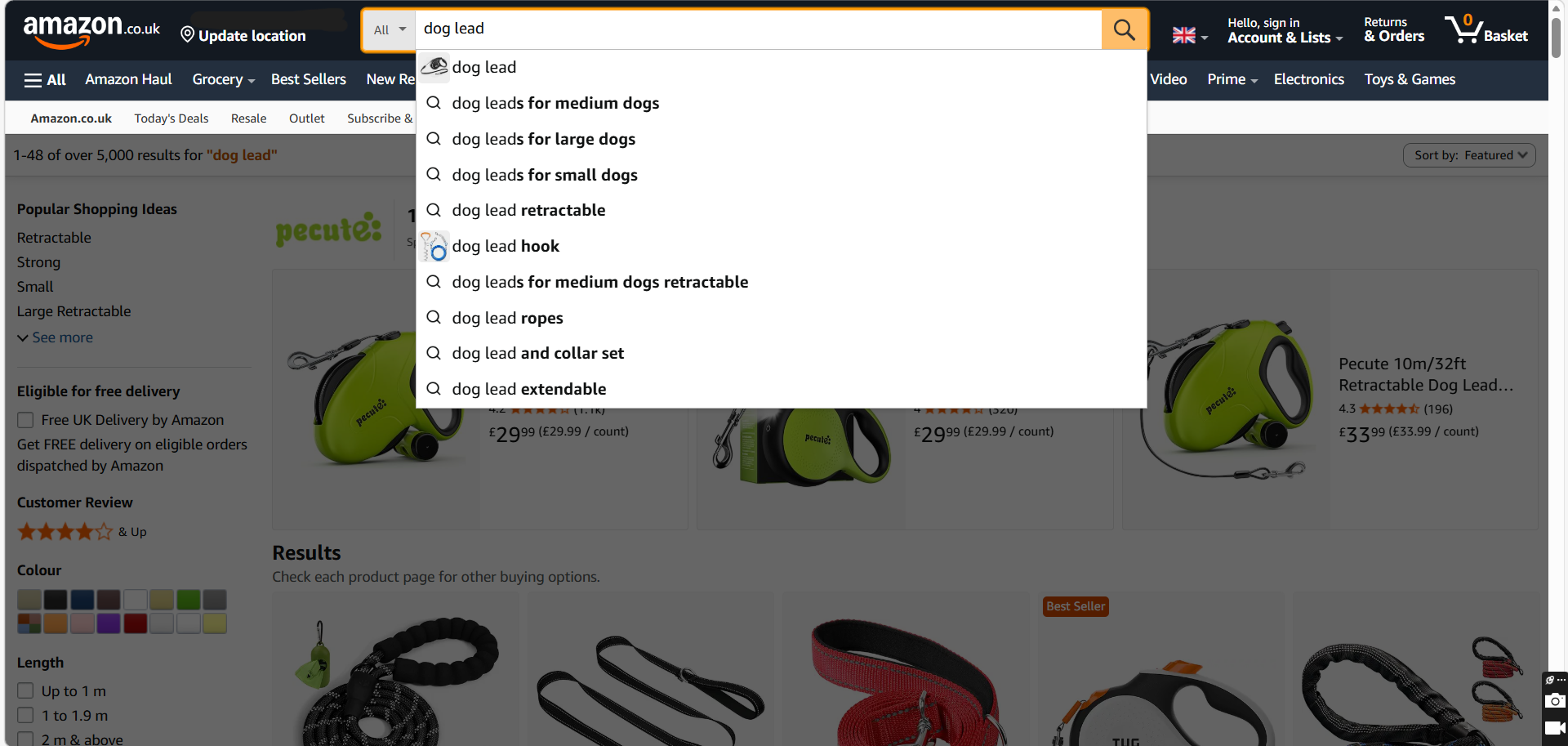 Amazon Search Box Examples Dog Lead