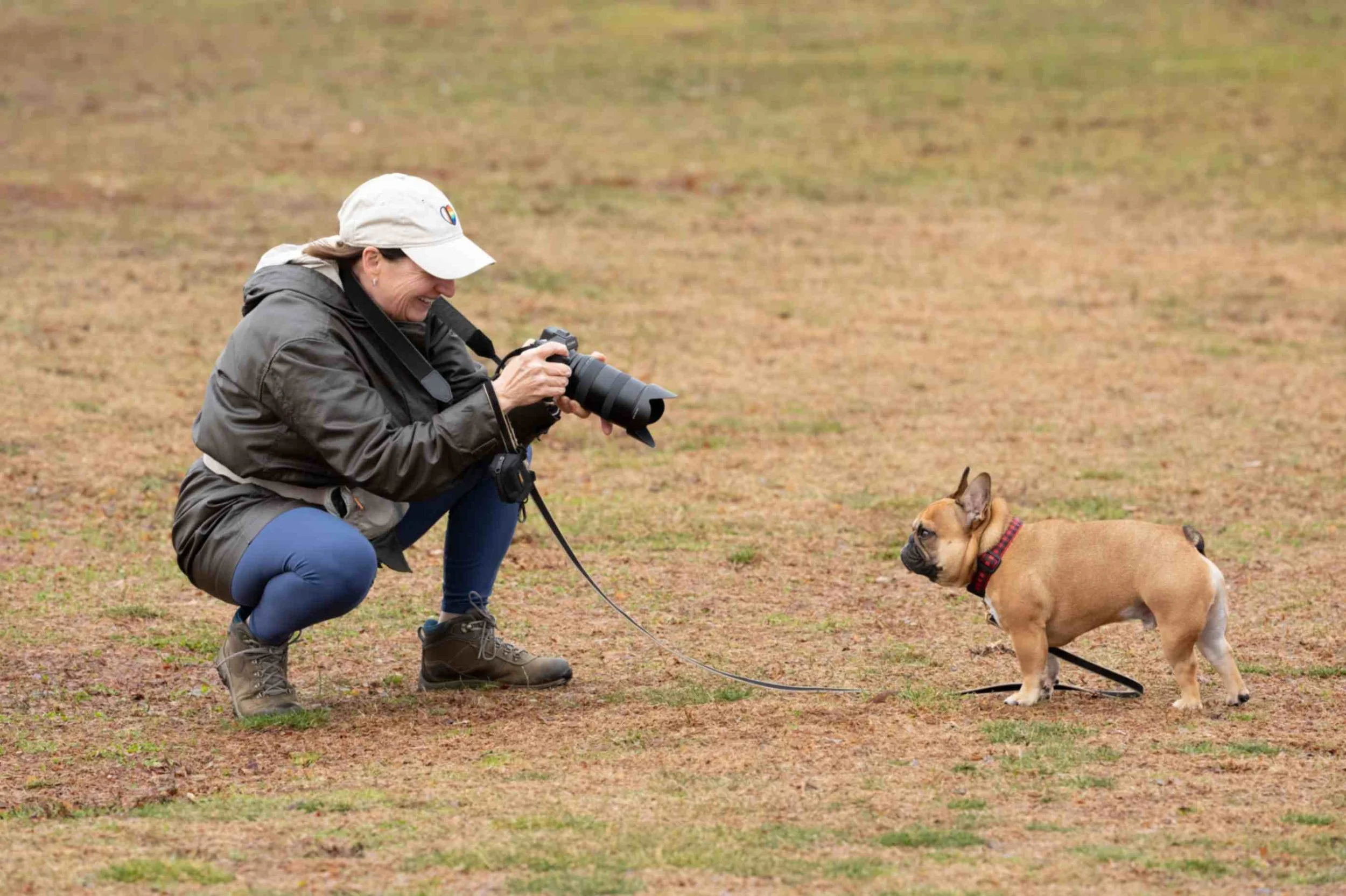 dog photographer