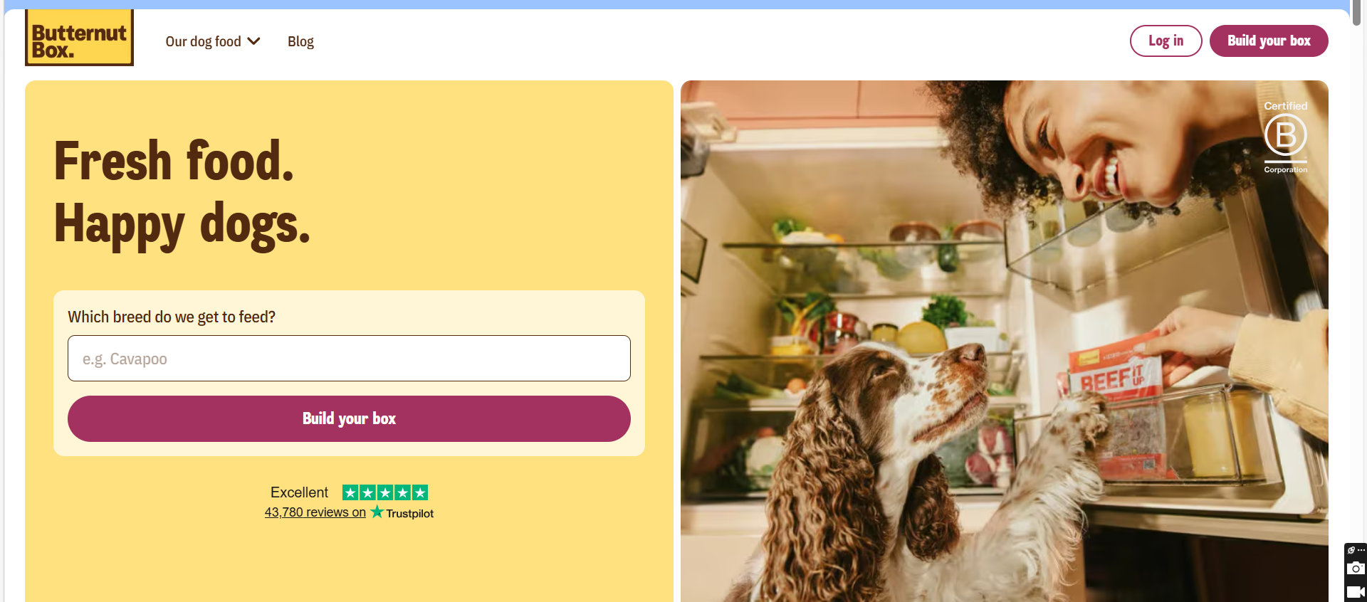 Butternut Box Website