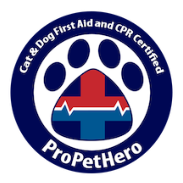 Transformative Dog Training, Canine Enrichment & Day Visits Delray Beach, Boca Raton