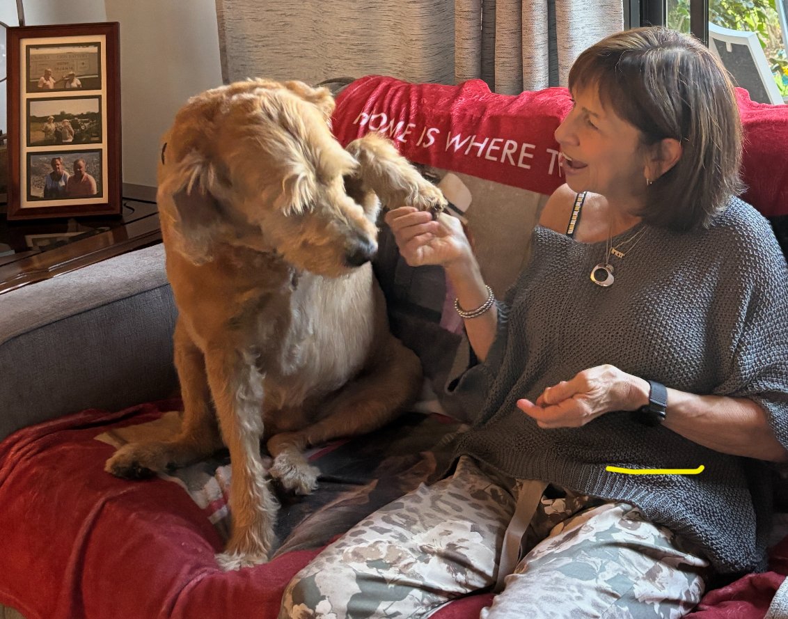 Day Visit Care with Debras Dog Den Delray Beach, Boca Raton