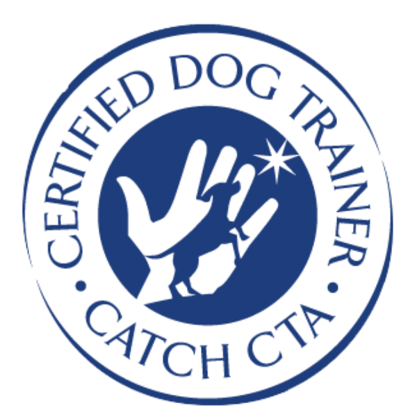 CATCH - Certified Dog Trainer - Delray Beach, Boca Raton