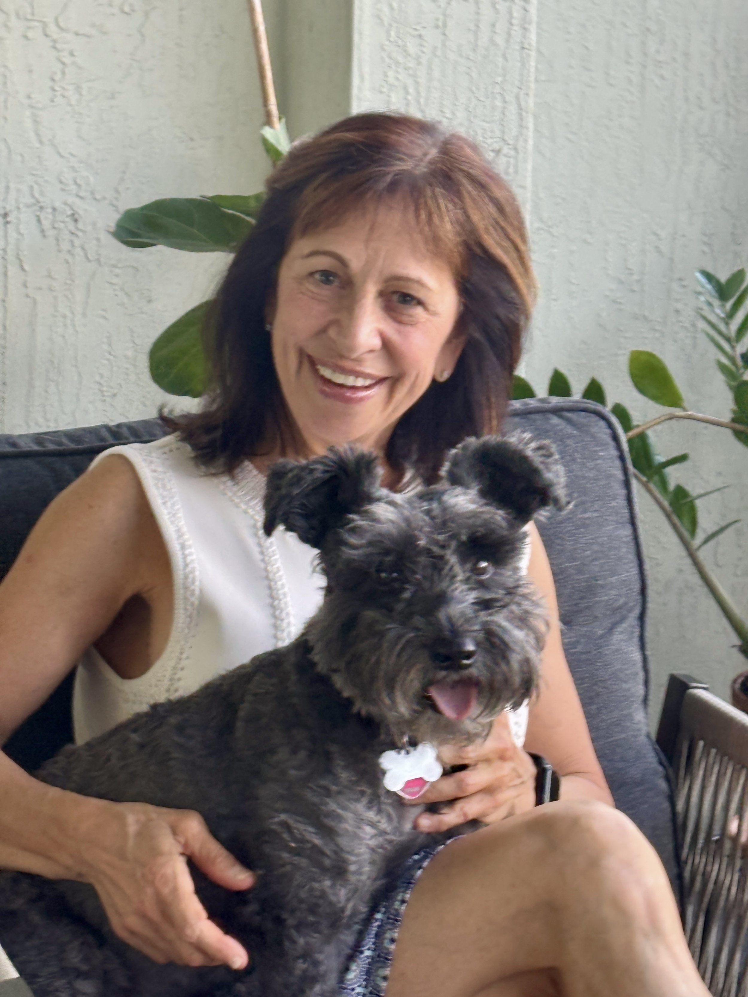 Transformative Dog Training, Canine Enrichment & Day Visits Delray Beach, Boca Raton