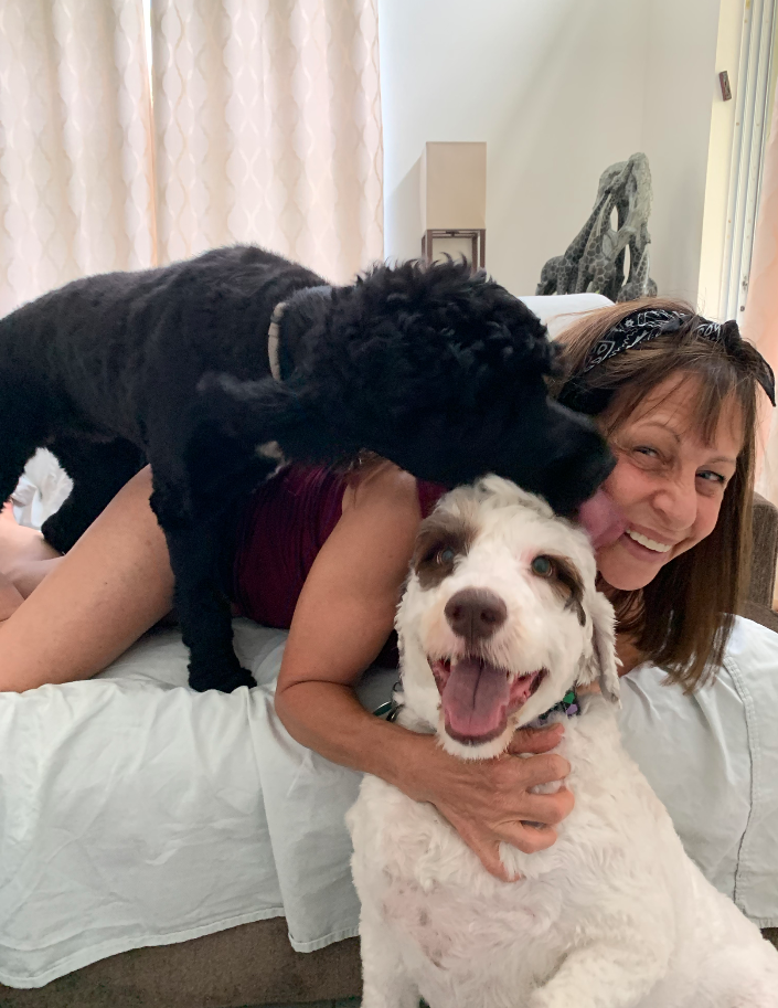 Overnite Car, Canine Enrichment & Day Visits Delray Beach, Boca Raton