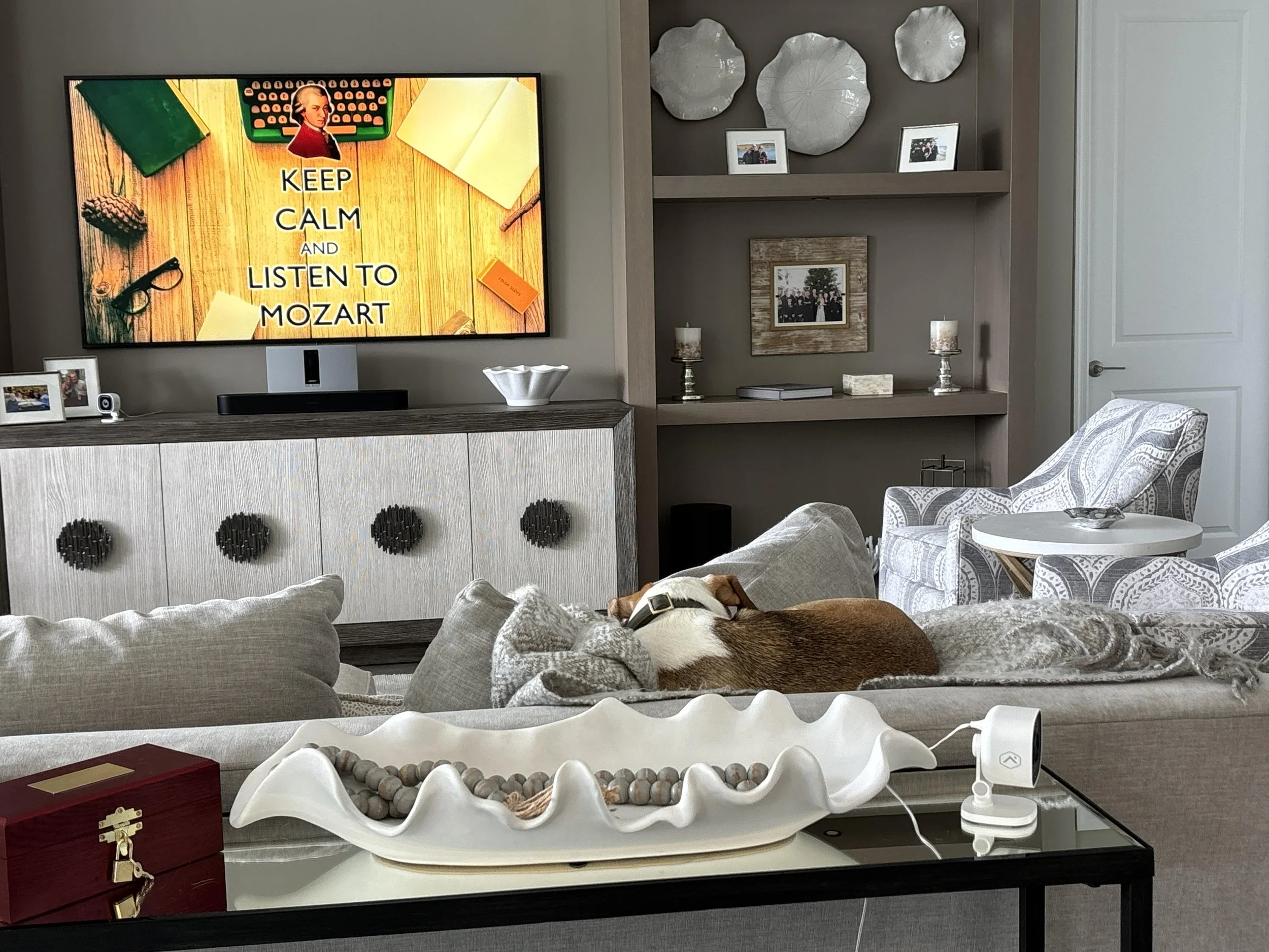 Debra's Dog Den | Dog Training & Enrichment in Delray Beach, Boca Raton & Boynton Beach