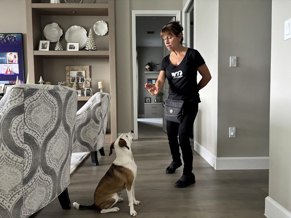 Debra's Dog Den | Dog Training in Delray Beach, Boca Raton & Boynton Beach