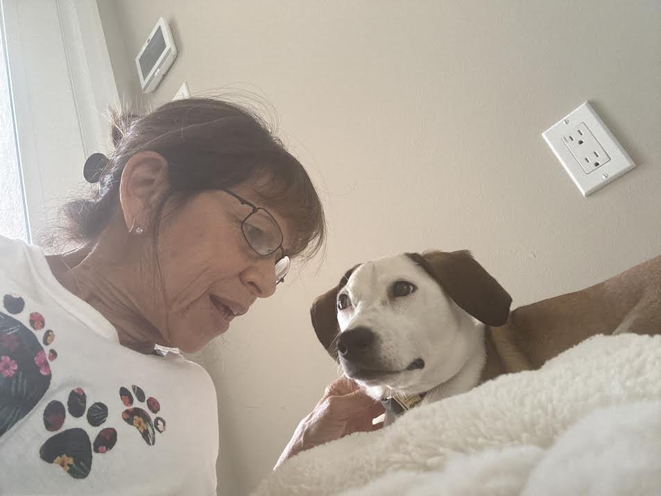 Debra's Dog Den | Dog Training & Enrichment in Delray Beach, Boca Raton & Boynton Beach