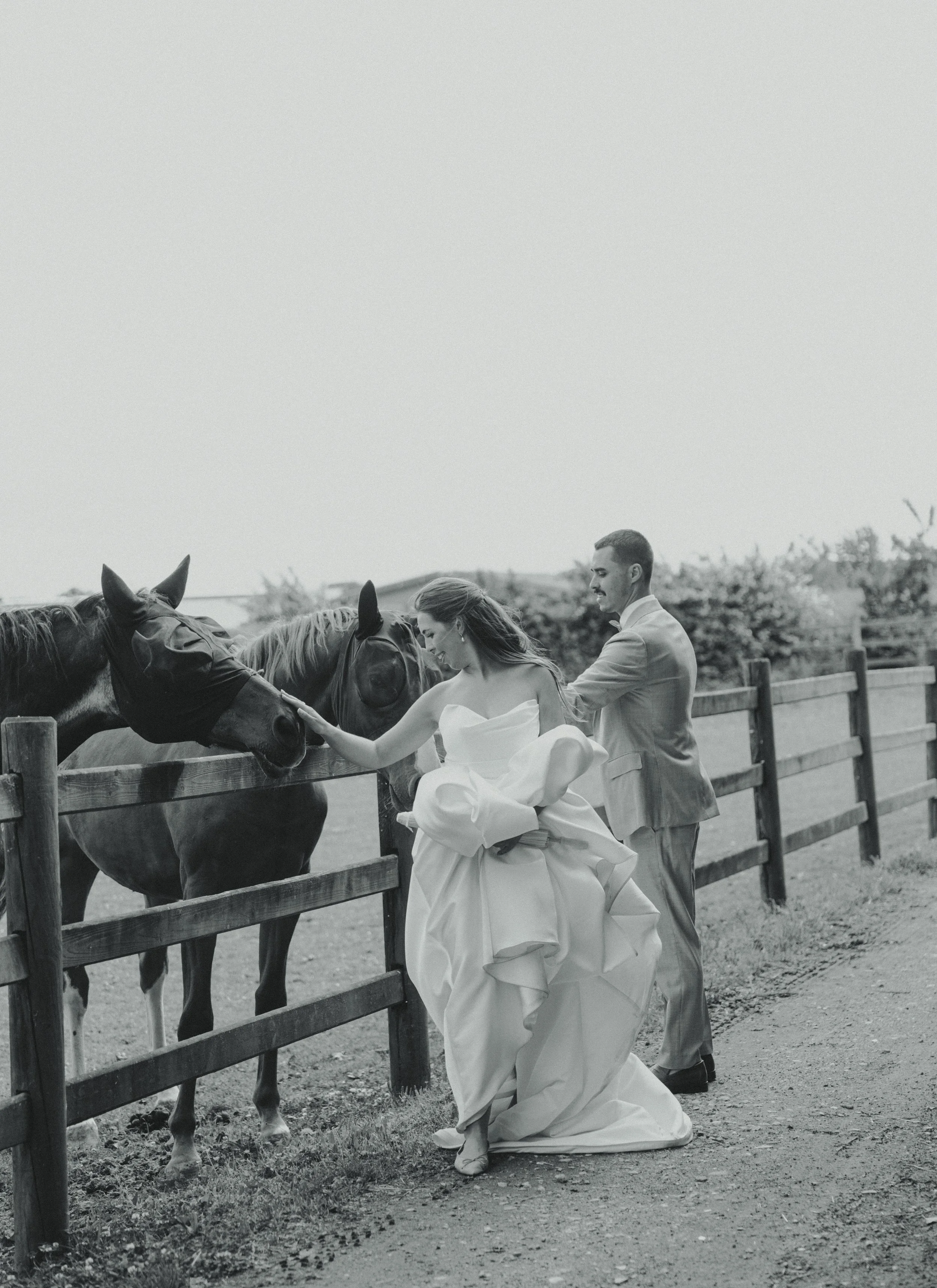 A black and white photo of a bride and groom next to a wooden fence, petting horses in a rural outdoor setting.