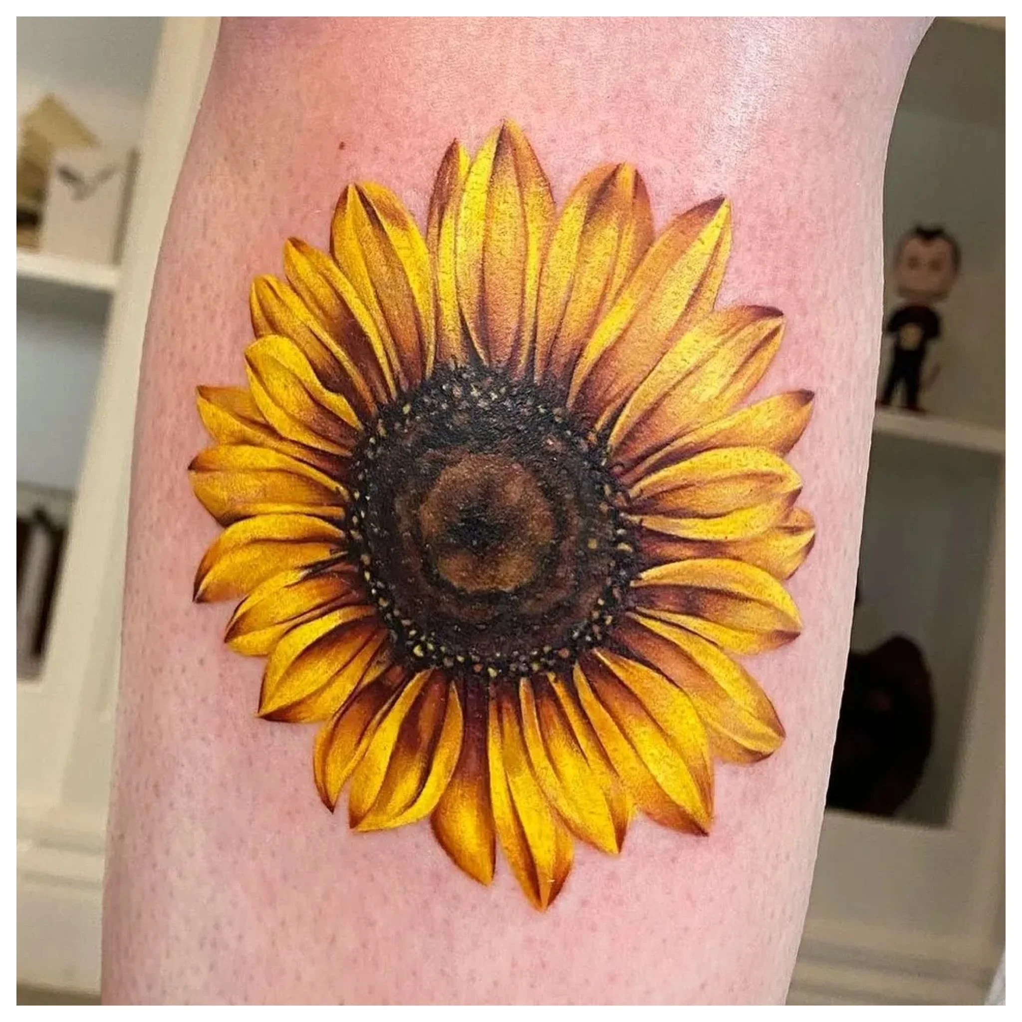 PHOTO-2026-01-30-09-08-55 2.jpg