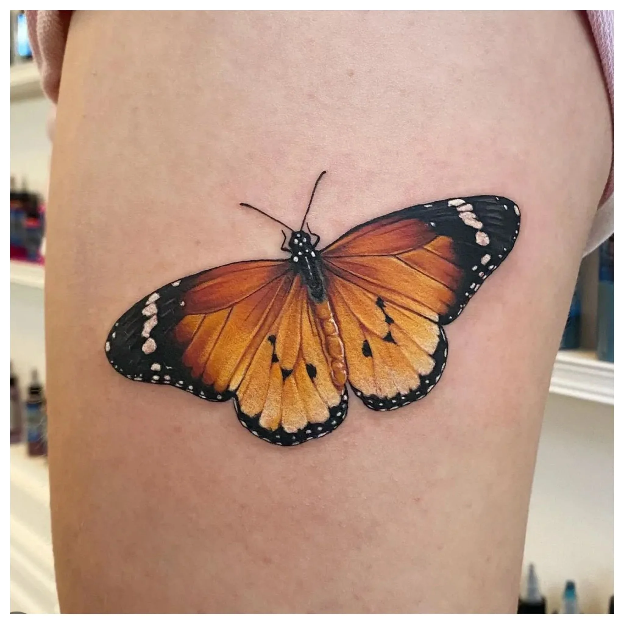 PHOTO-2026-01-30-09-08-56 2.jpg