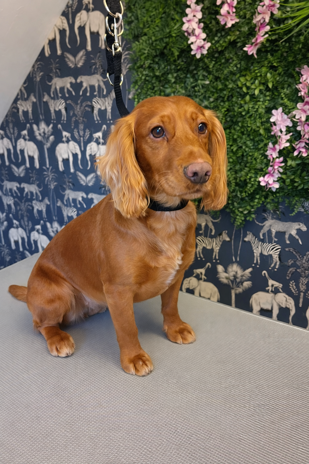 ChatGPT Image Feb 1, 2026, 11_03_33 AM.png