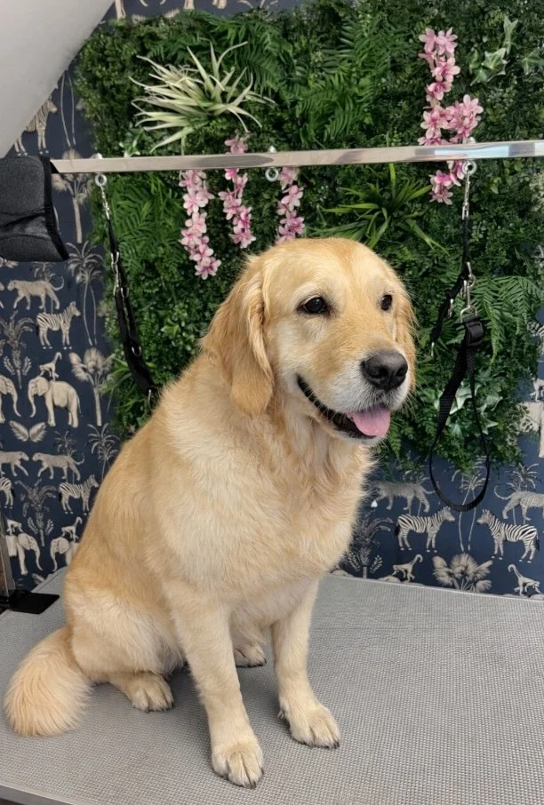 Image 01-02-2026 at 11.22.jpeg