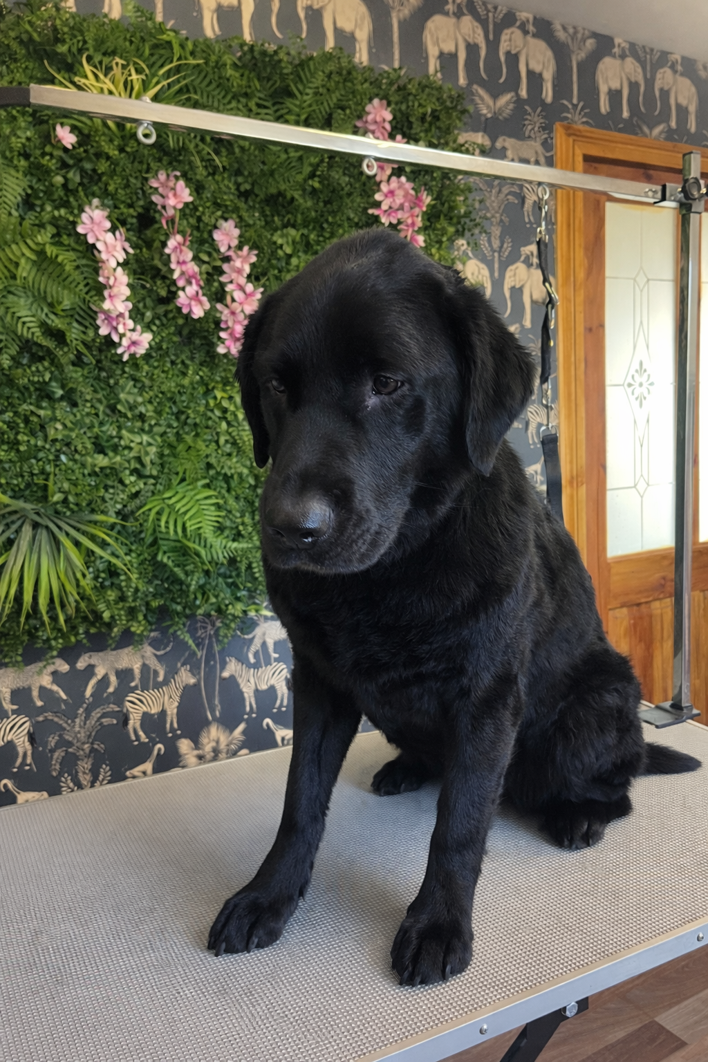 ChatGPT Image Feb 1, 2026, 11_14_51 AM.png