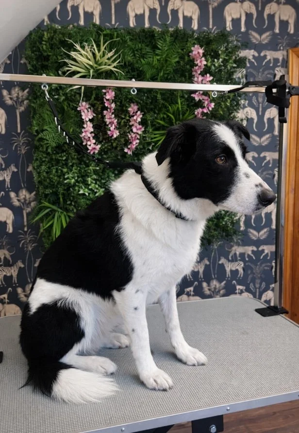 Image 01-02-2026 at 11.29.jpeg