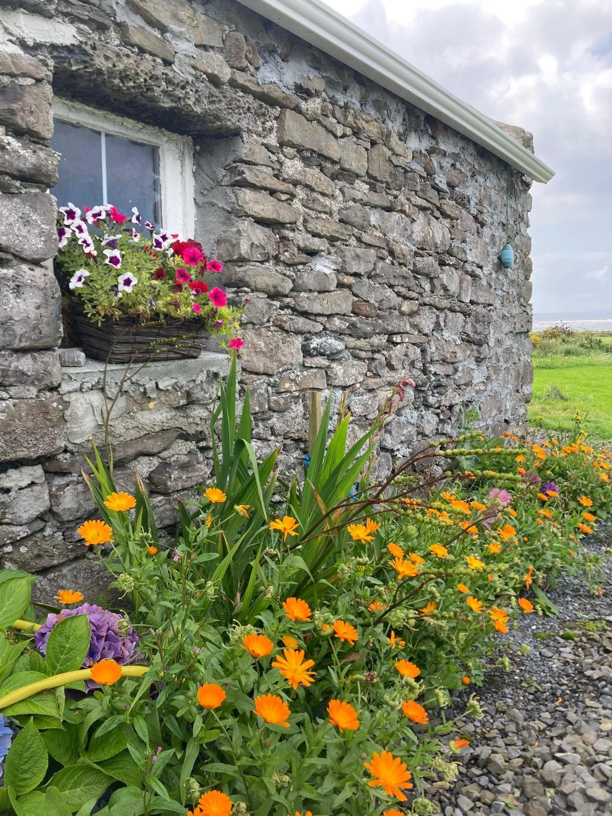 flowers outside pub.jpeg