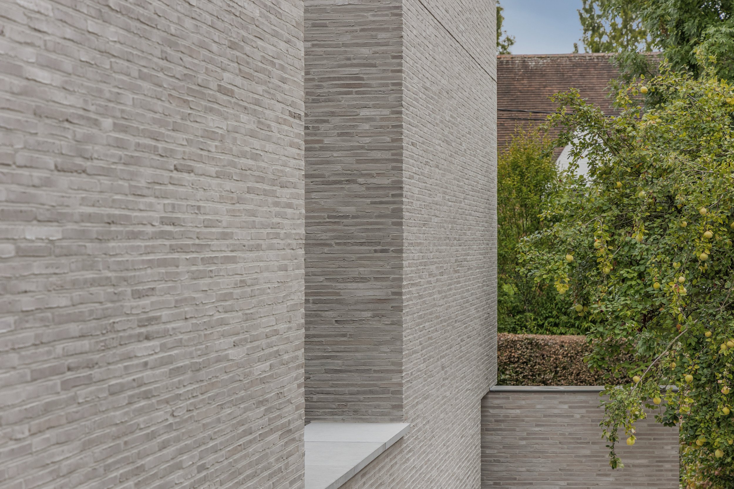 project FV_AR_05.jpg