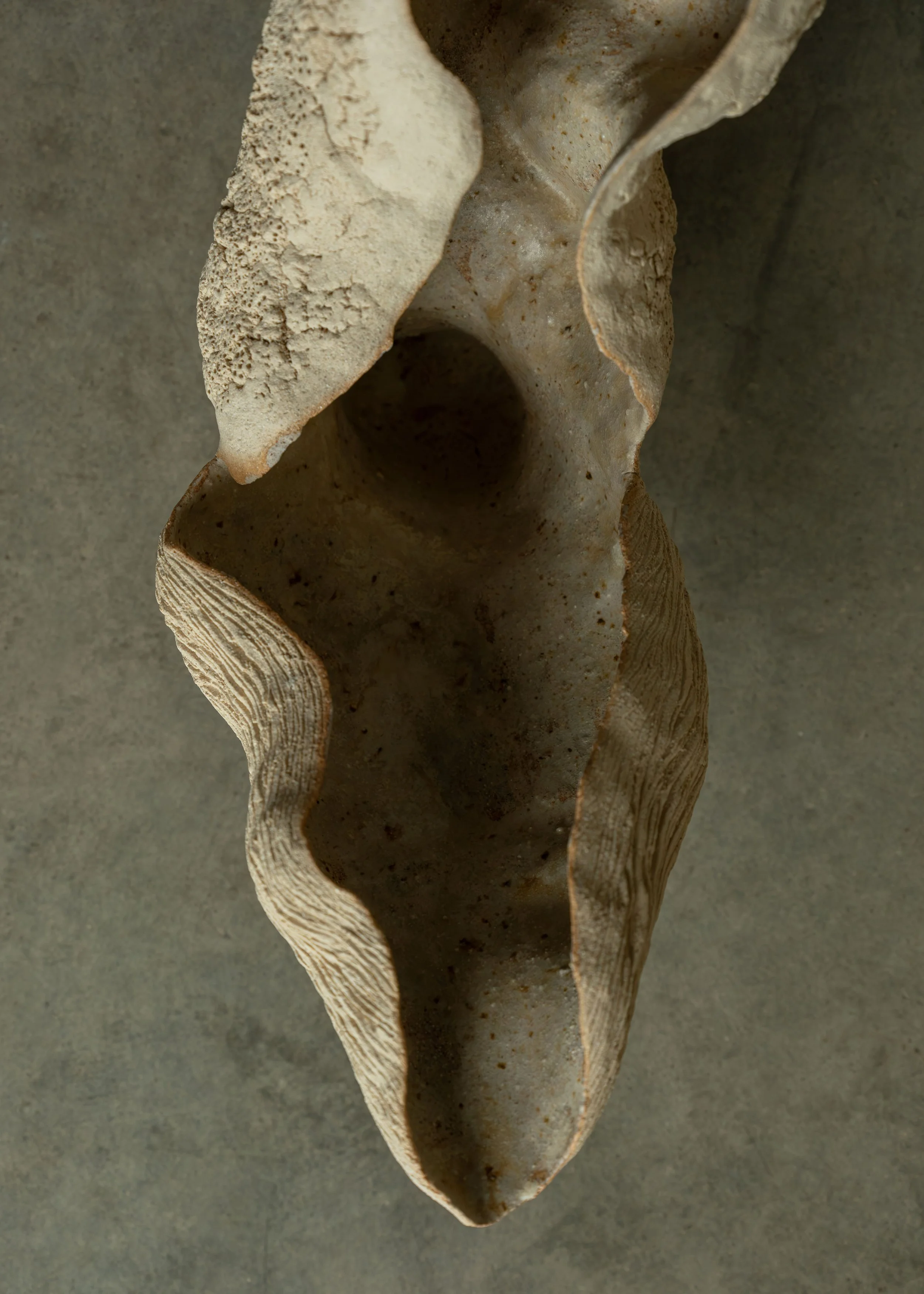 DSCF9884.jpg