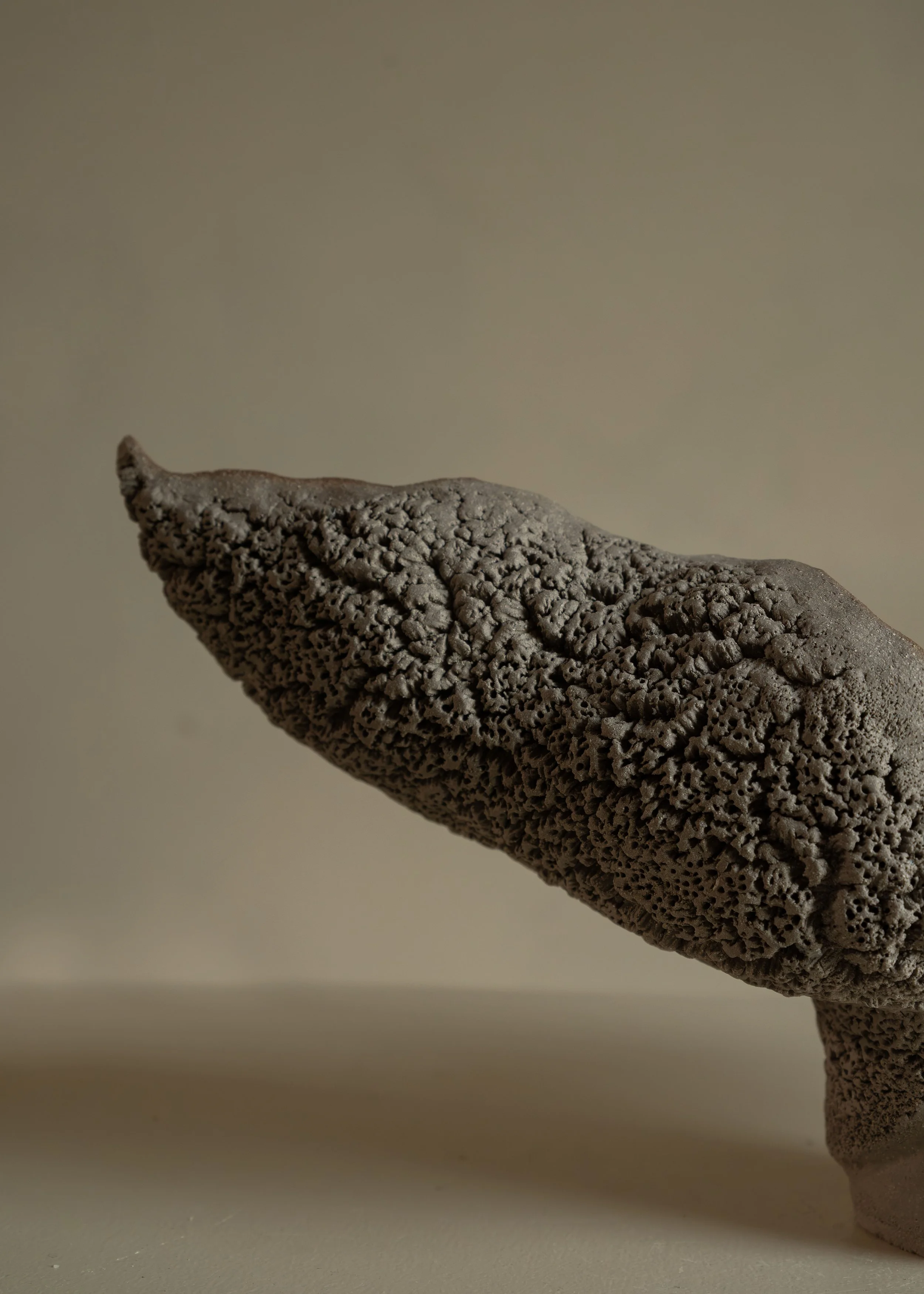 DSCF9908.jpg