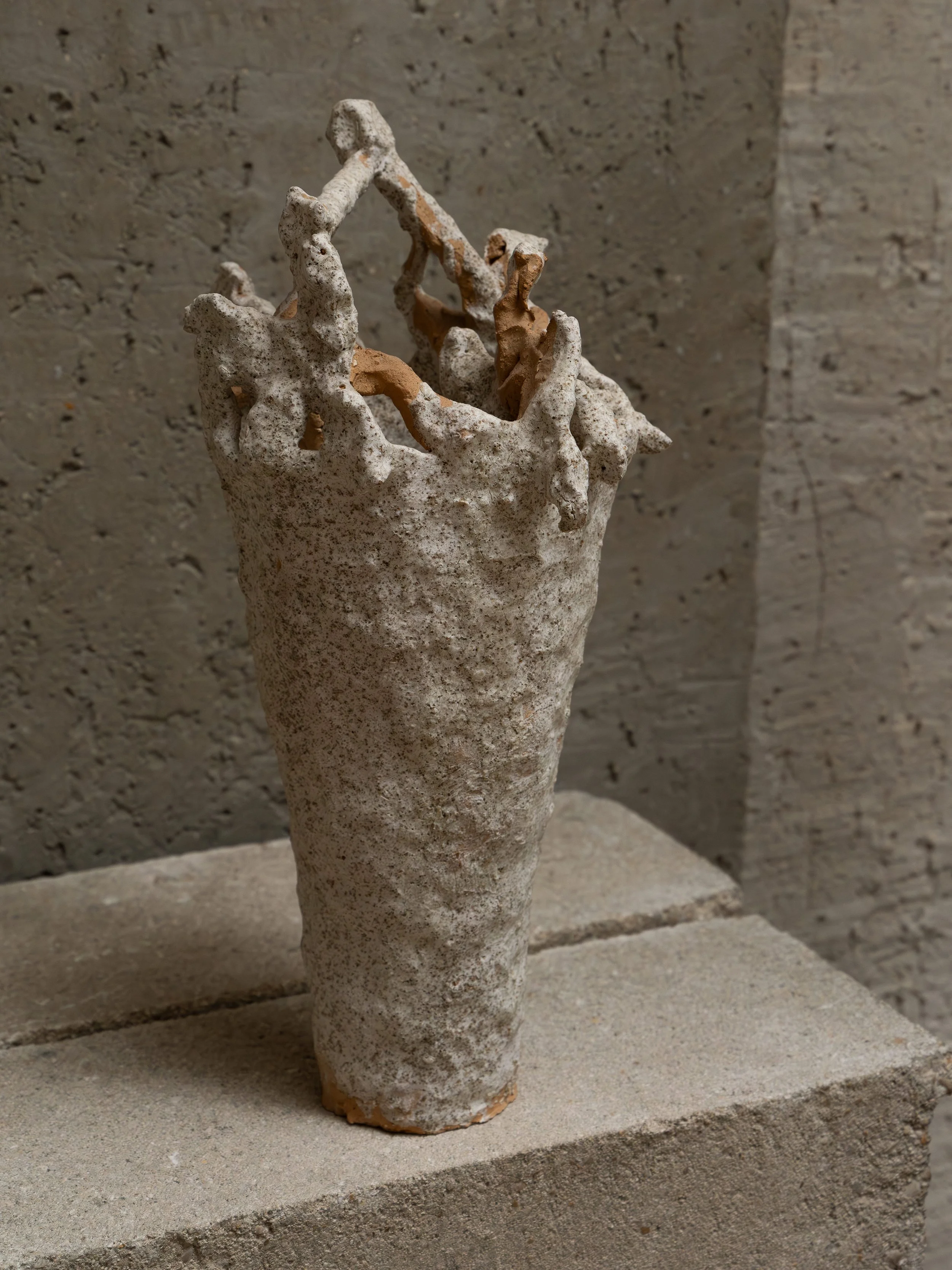 DSCF7288.jpg