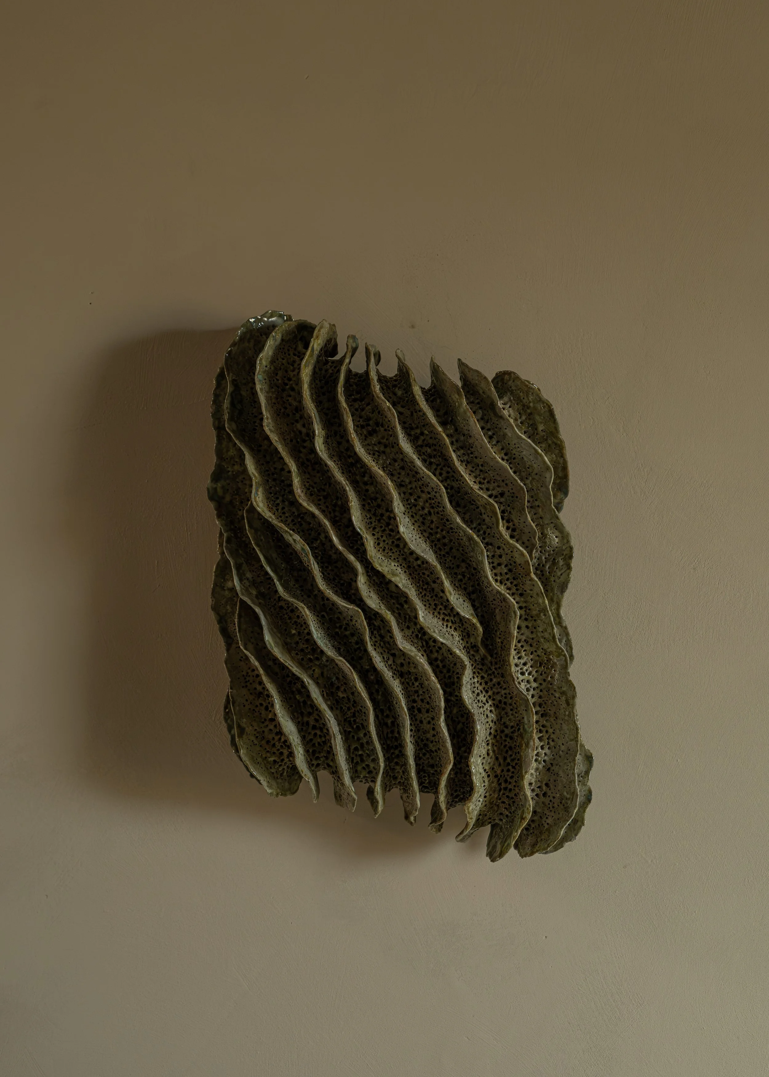 DSCF9986.jpg