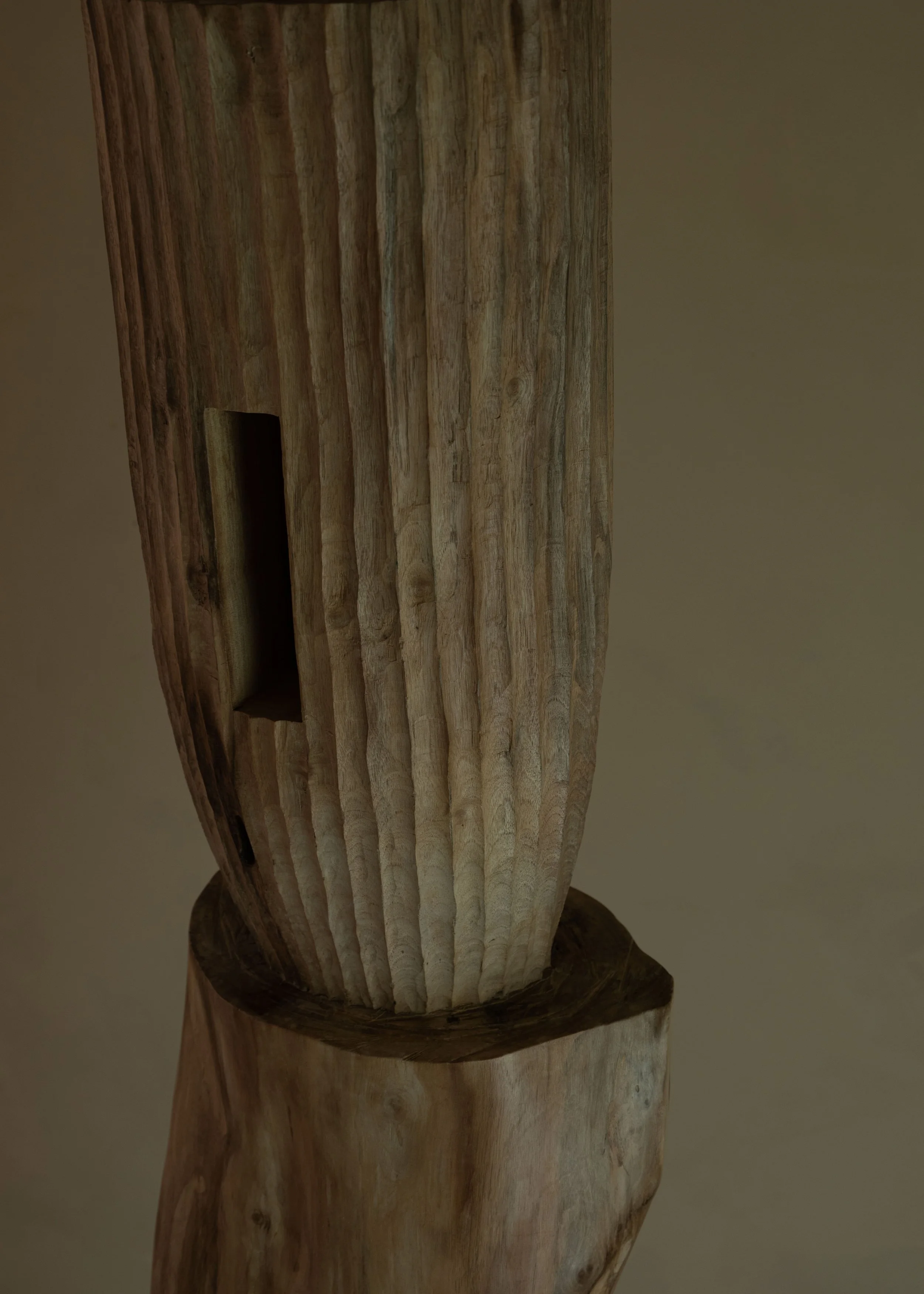DSCF7739.jpg