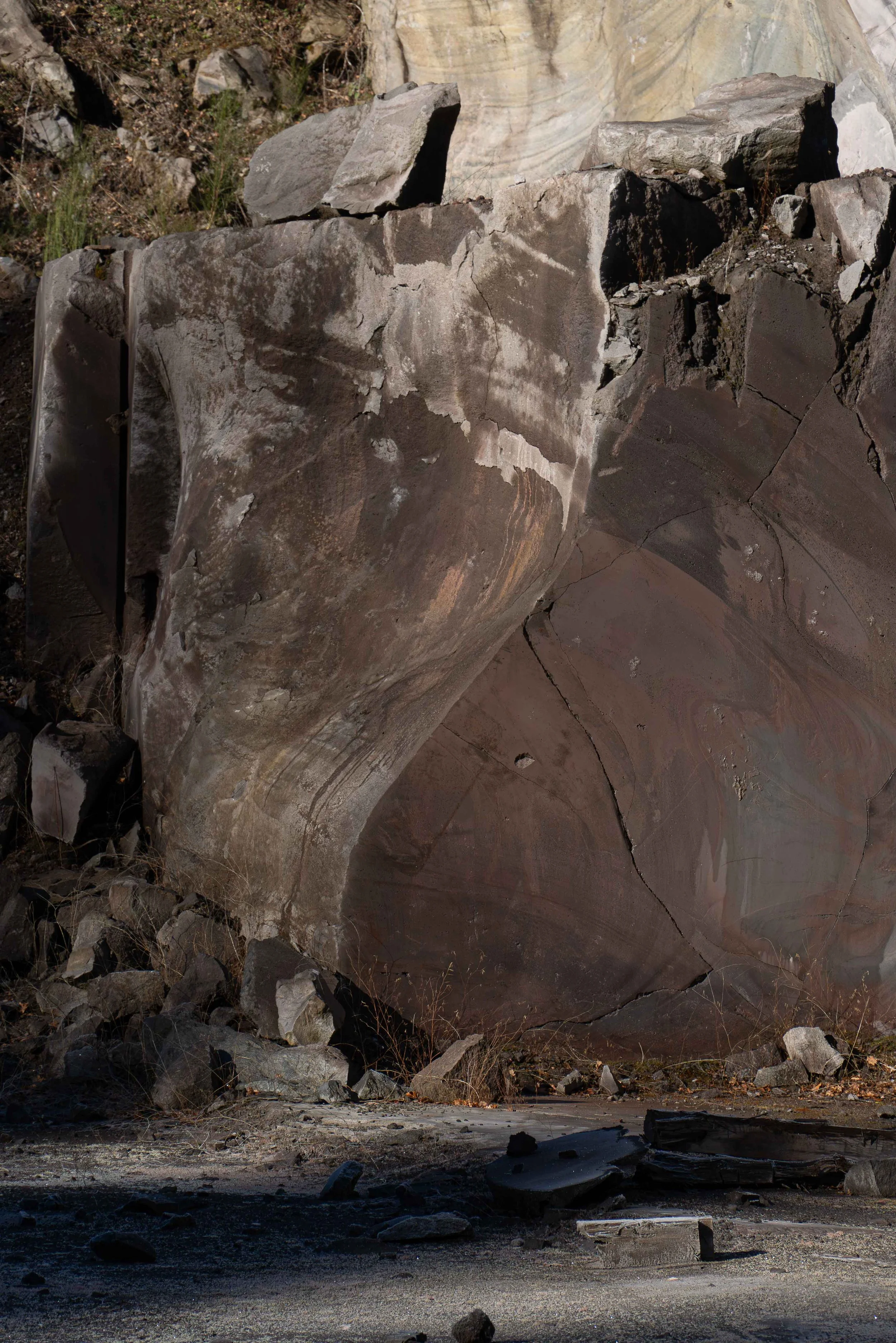 03022025-DSC02185-Avec accentuation-Bruit.jpg