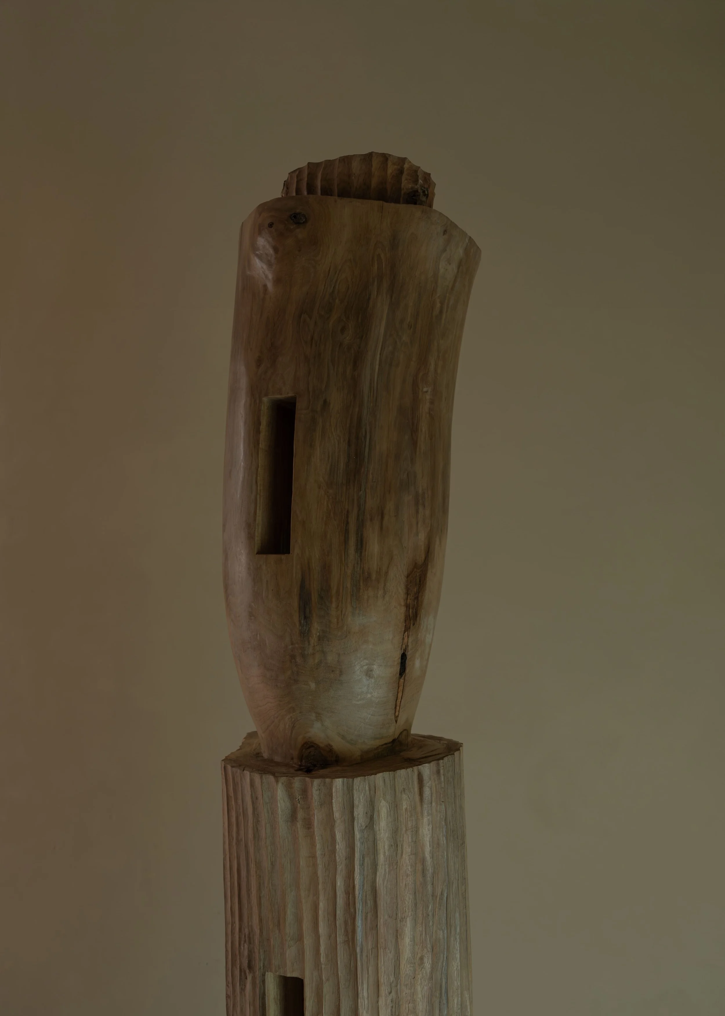 DSCF7738.jpg