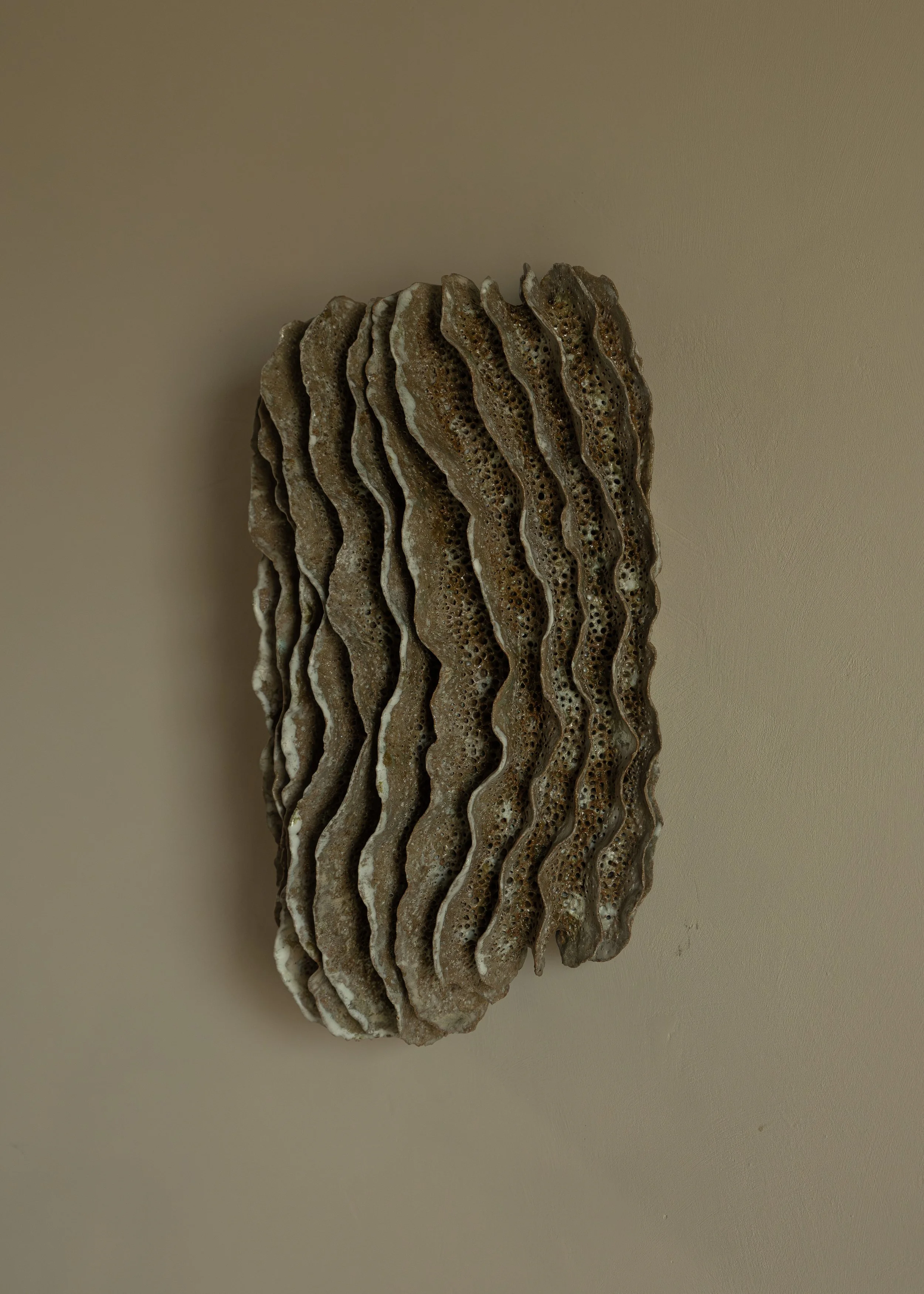 DSCF0370.jpg