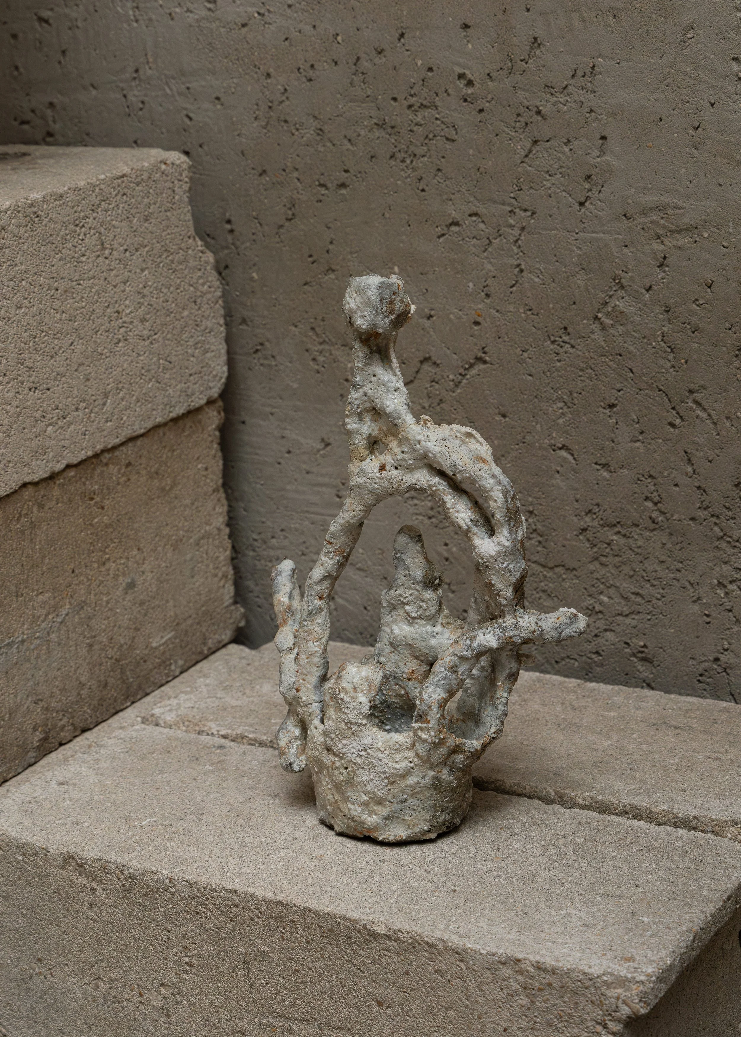 DSCF7284.jpg