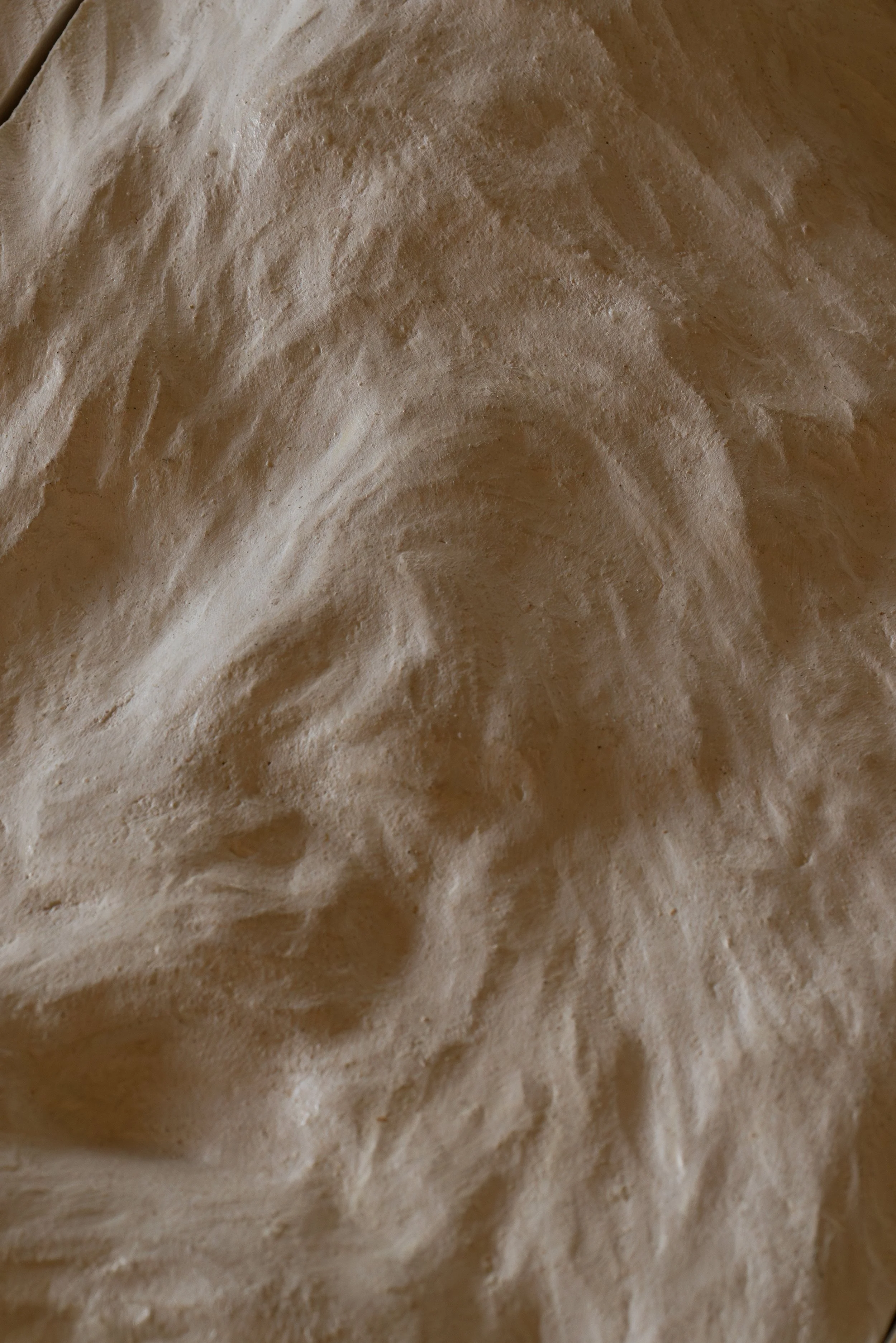 CLAIRE COSNEFROY 1.jpg