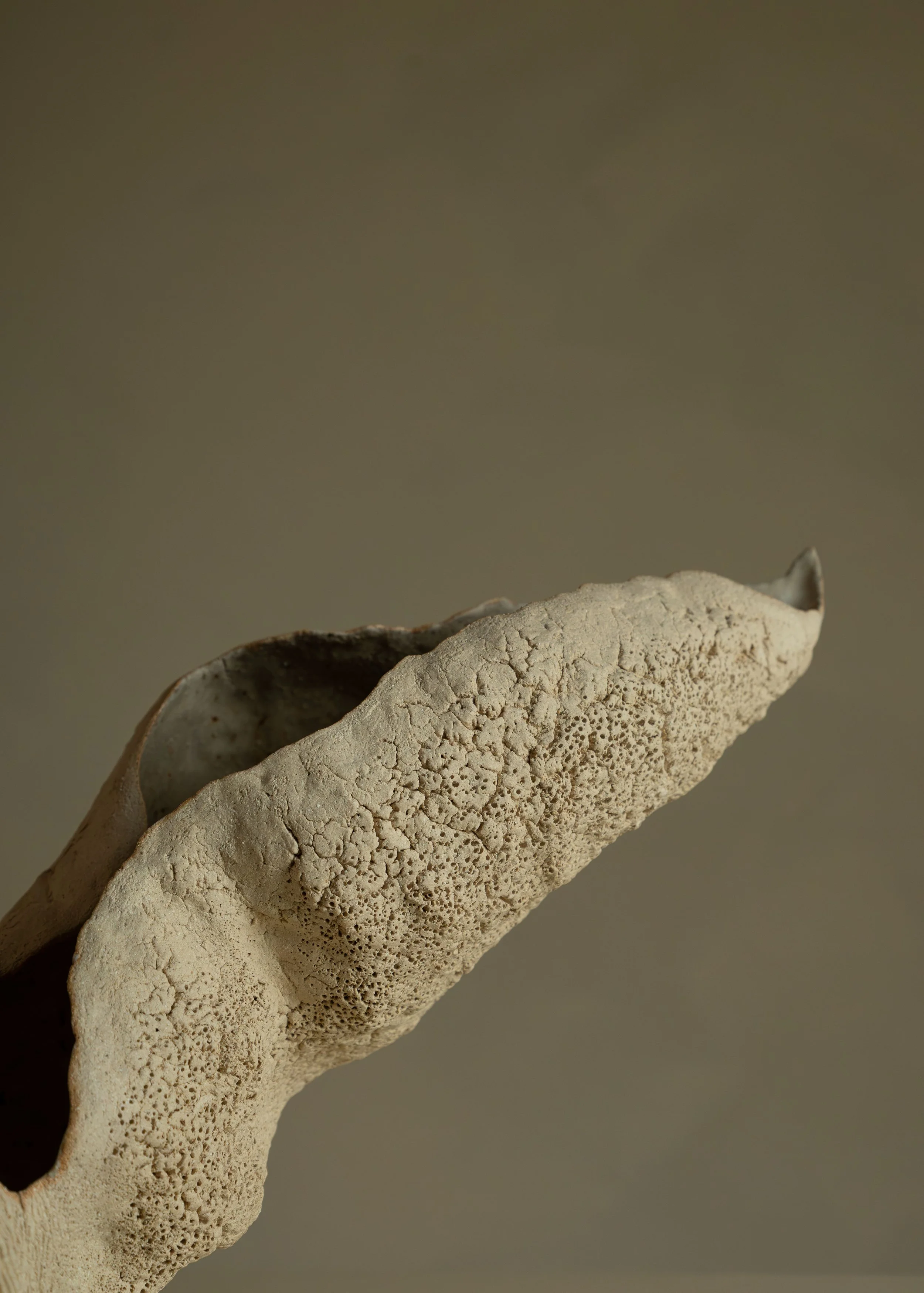 DSCF9878.jpg