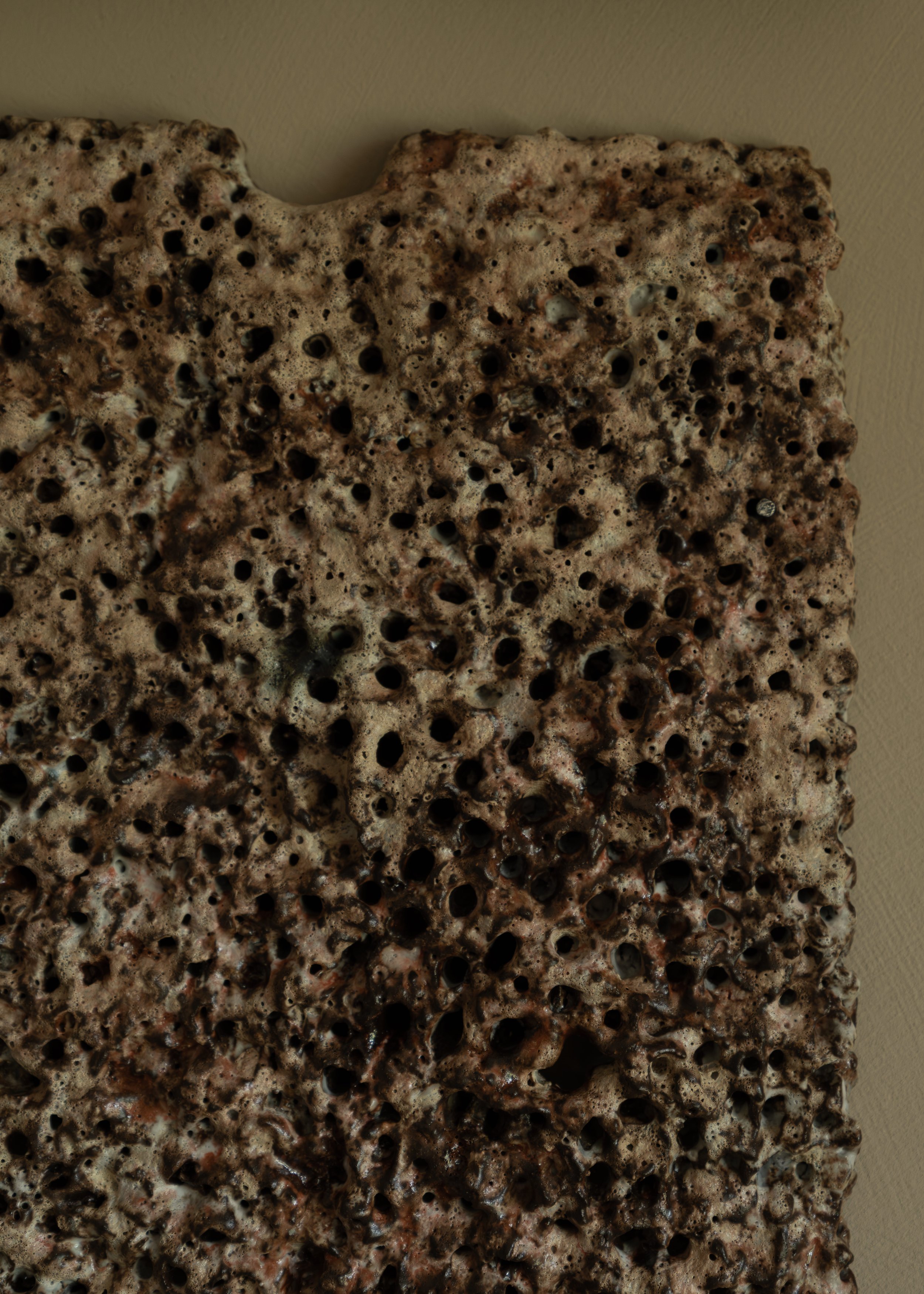 DSCF8116.jpg