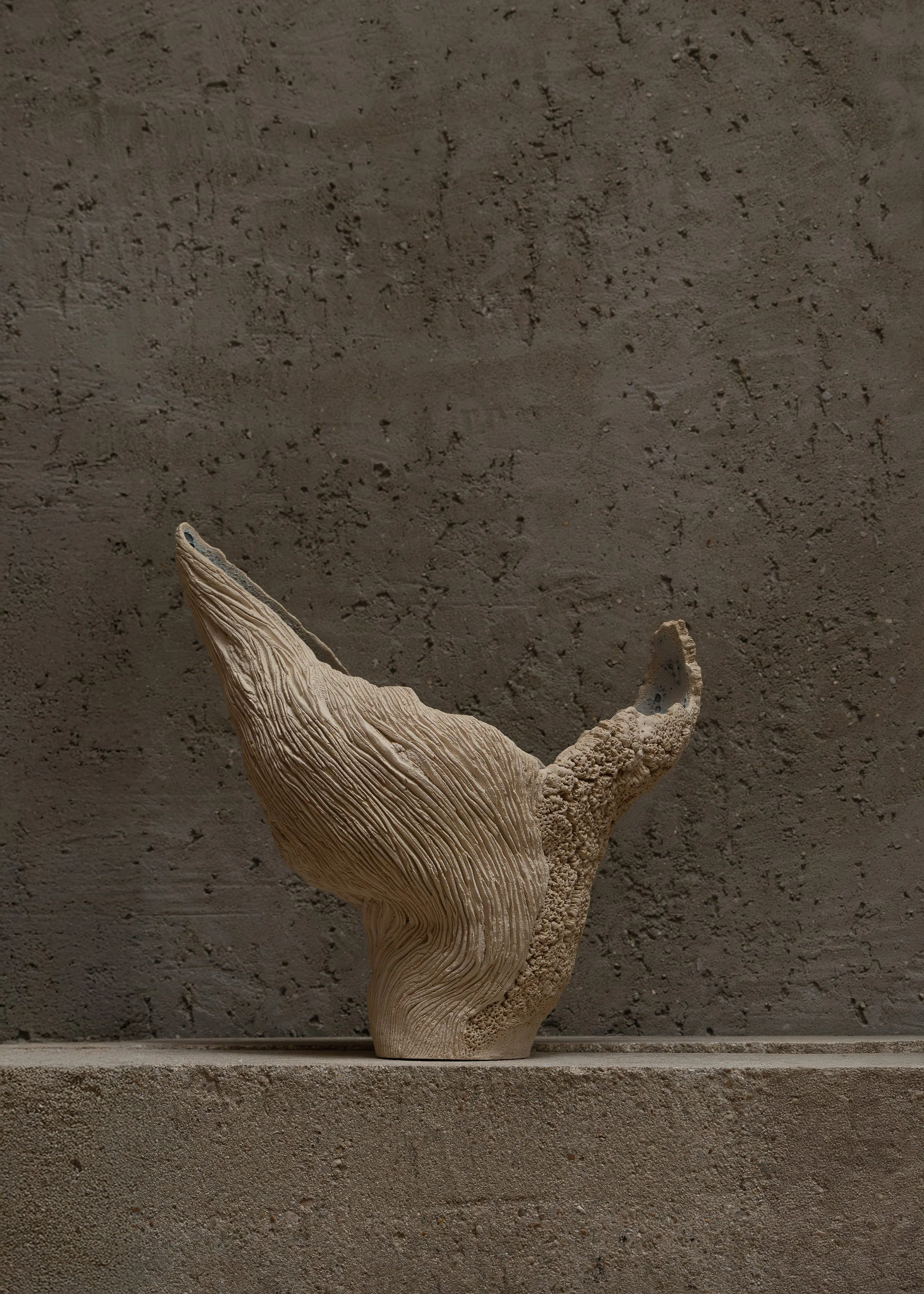 LA VAGUE ET LE ROCHER