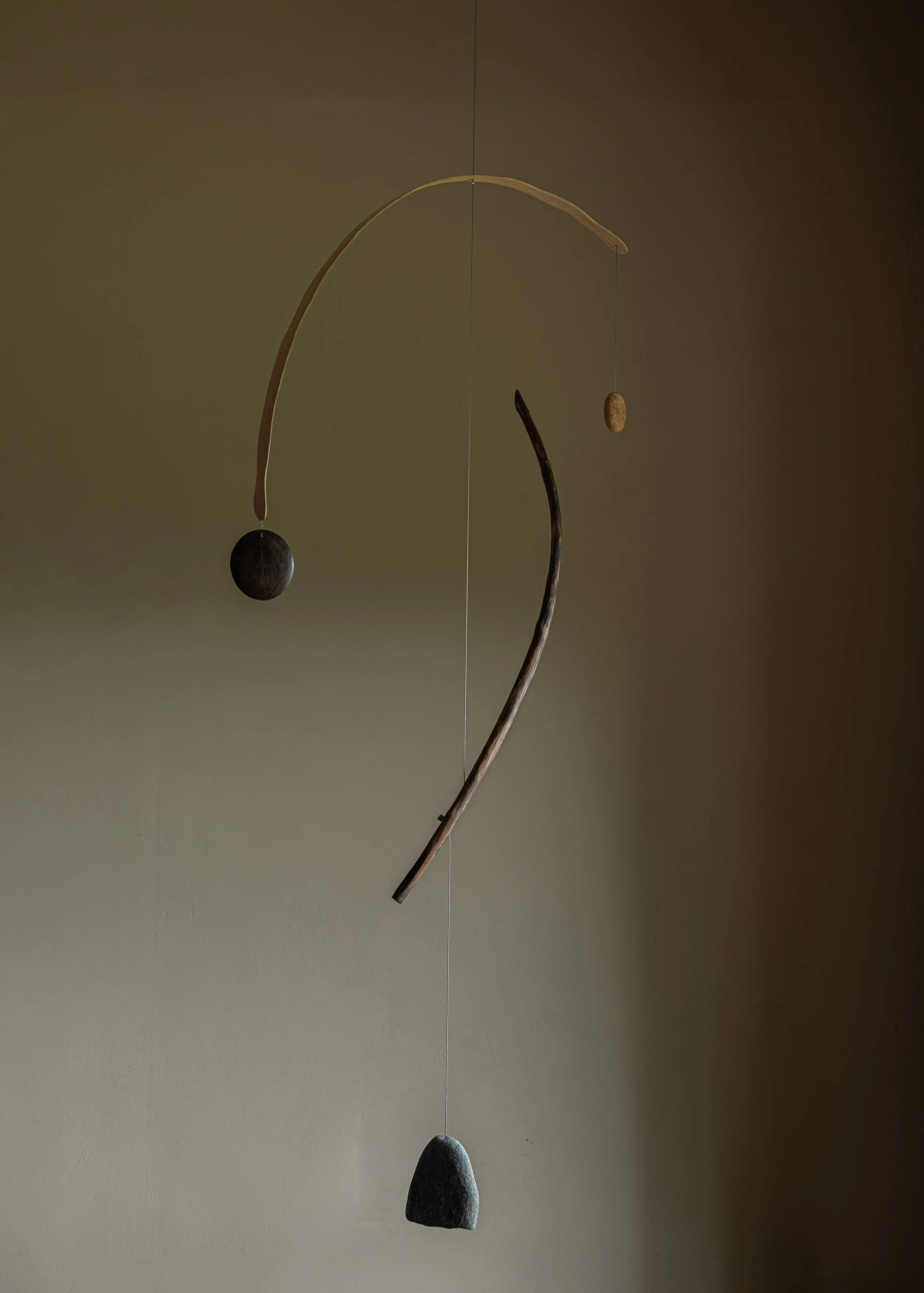 SUSPENSION #36