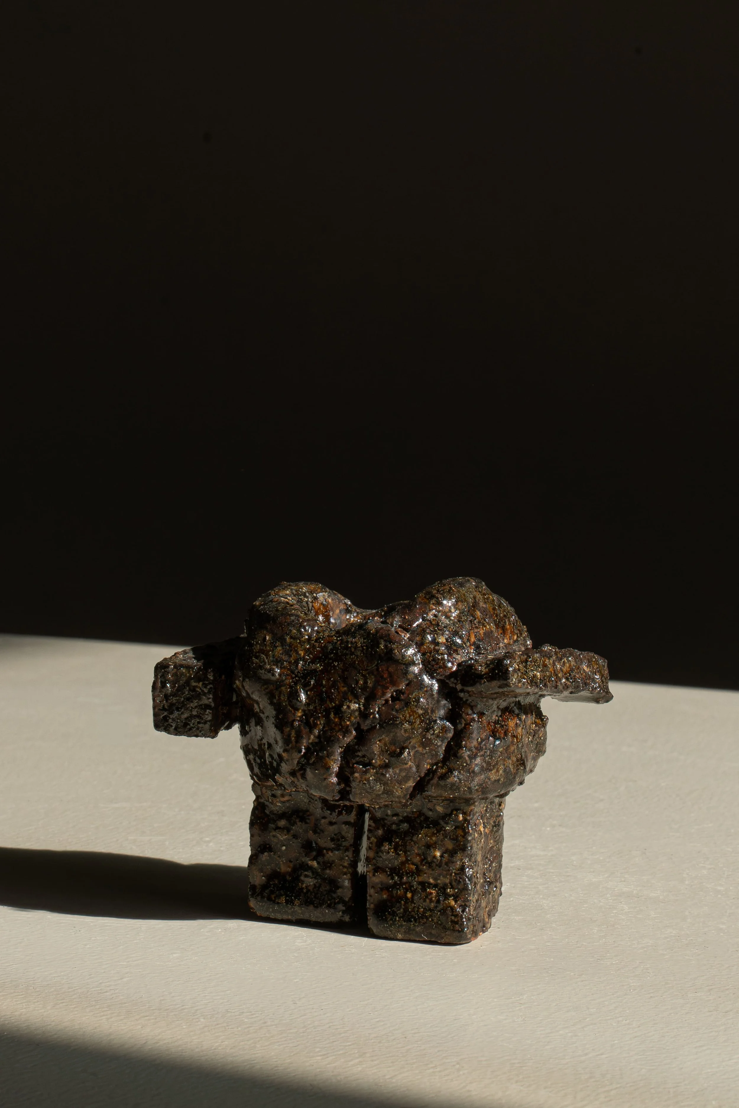 DSC07064.jpg