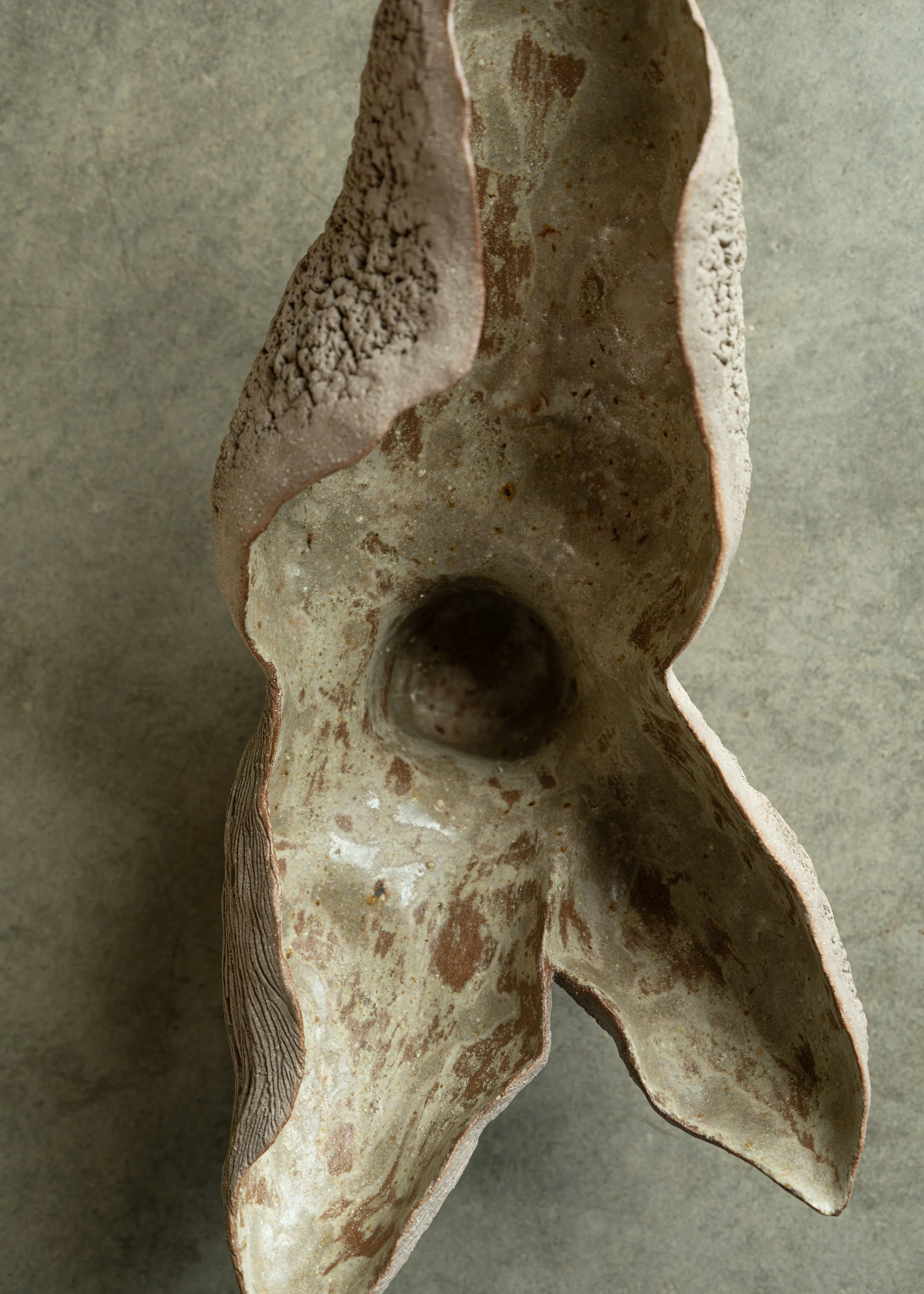 DSCF9905.jpg