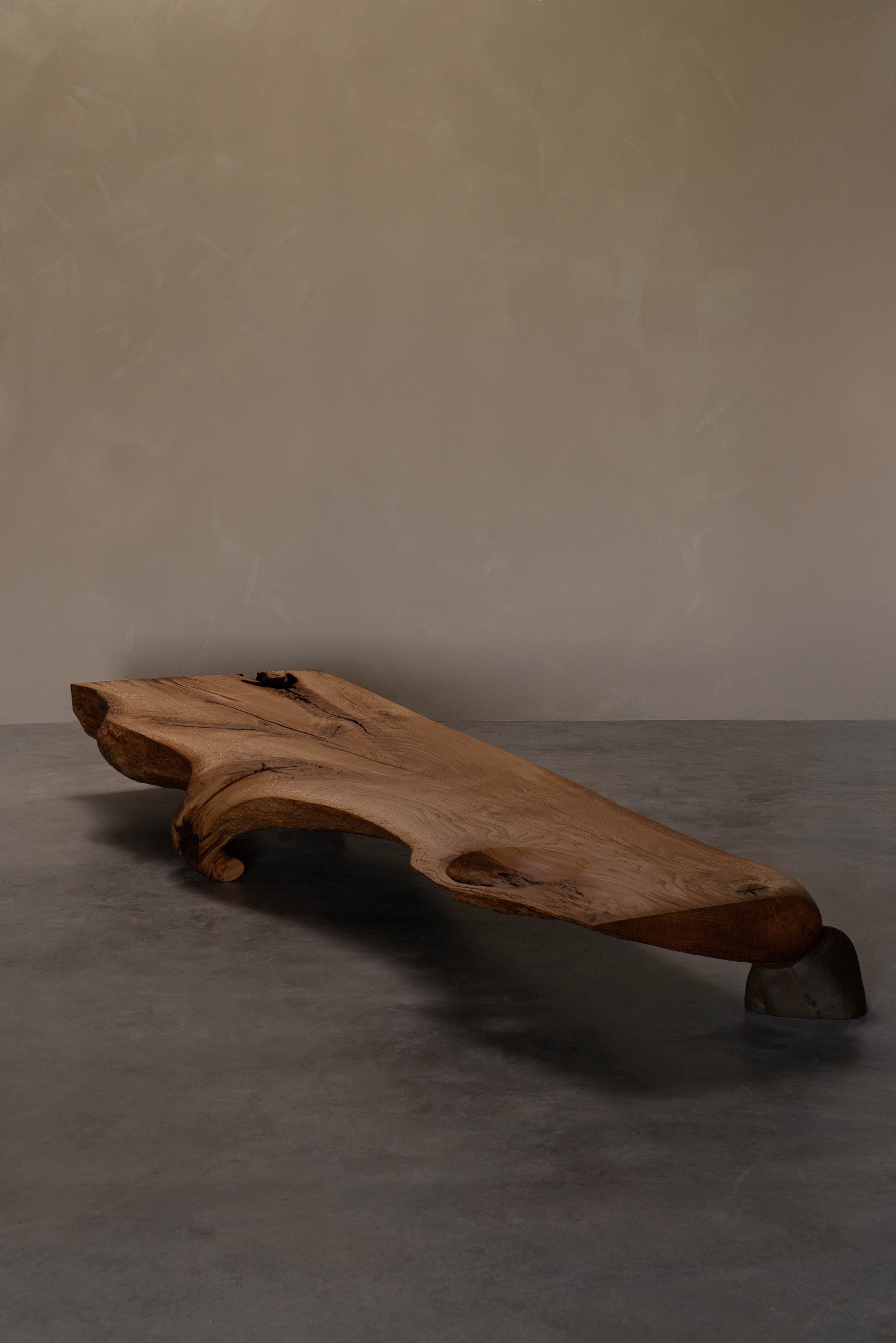 13122024-DSC00858-Avec accentuation-Bruit.jpg