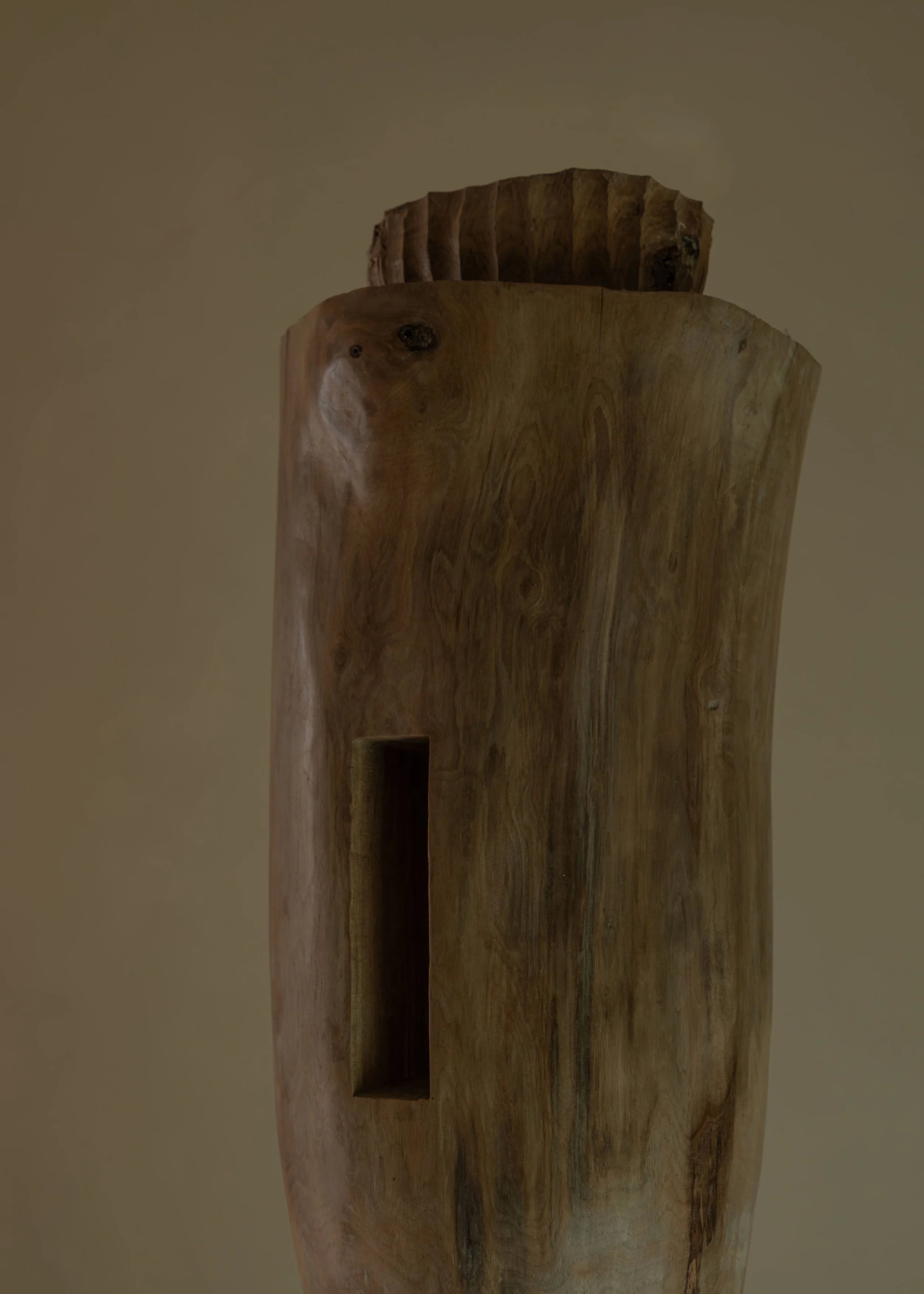 DSCF7737.jpg