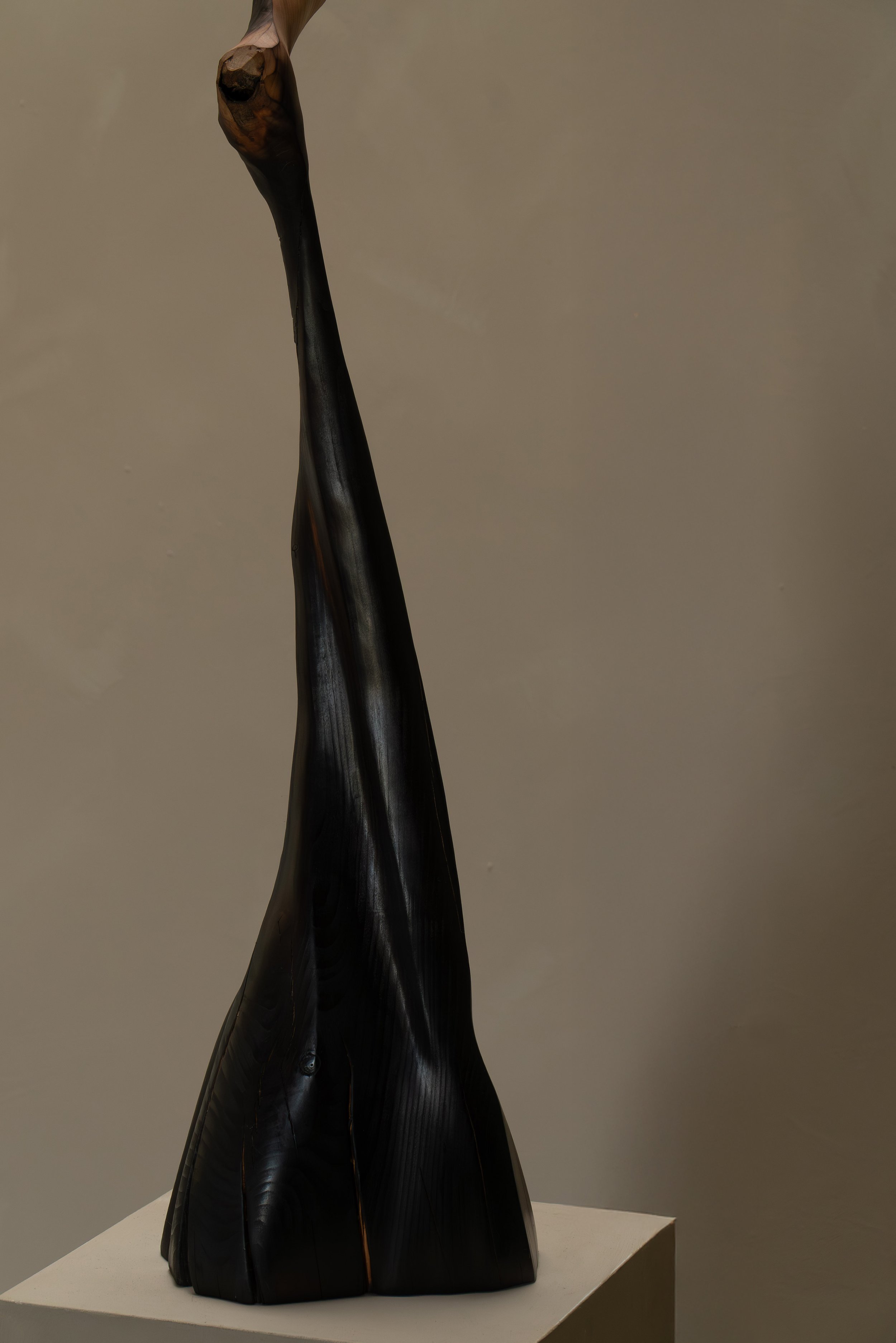14022025-DSC03227-Avec_accentuation-Bruit.jpg