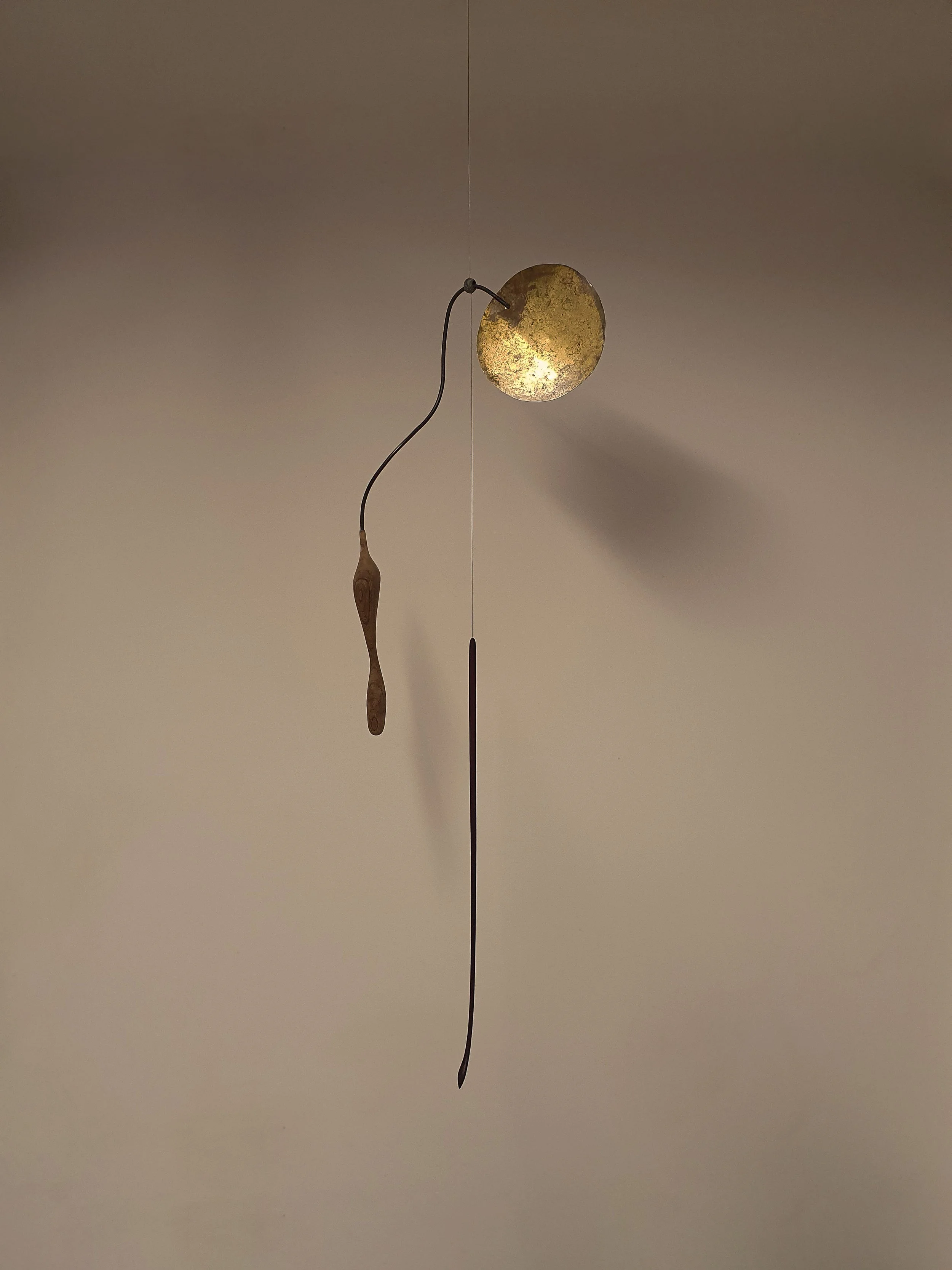 SUSPENSION VIOLON D'INGRES