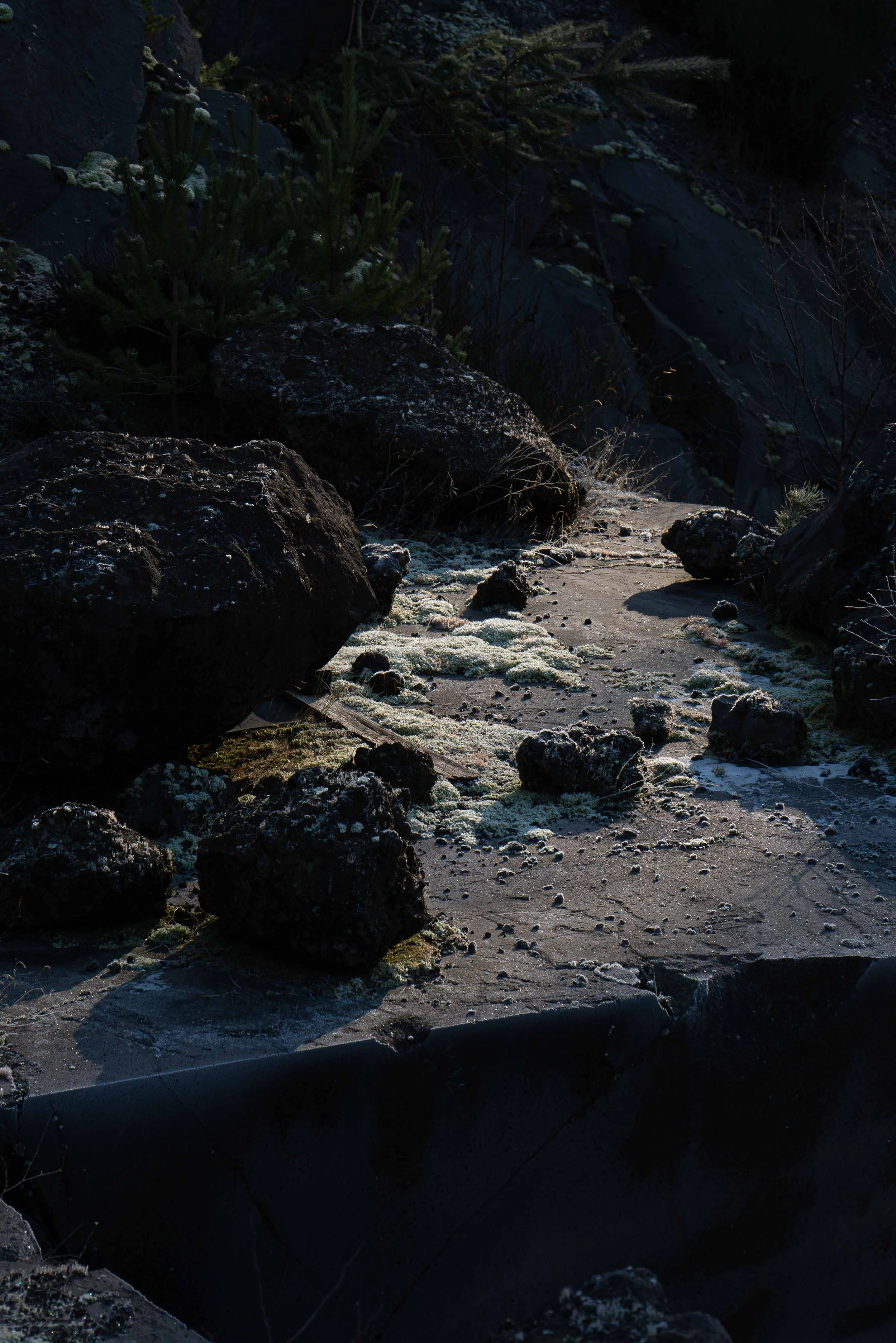 03022025-DSC02148-Avec accentuation-Bruit.jpg