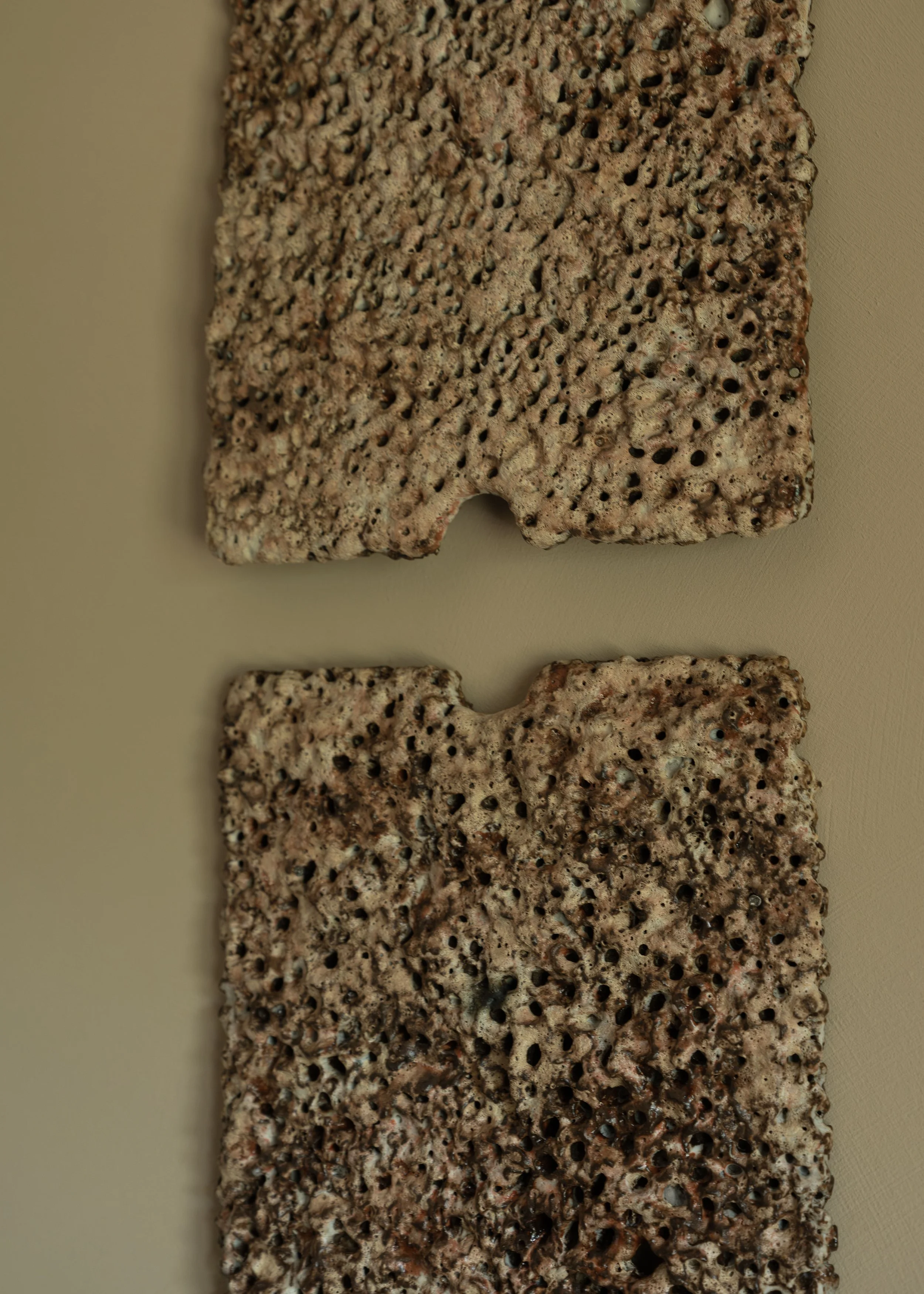 DSCF8118.jpg
