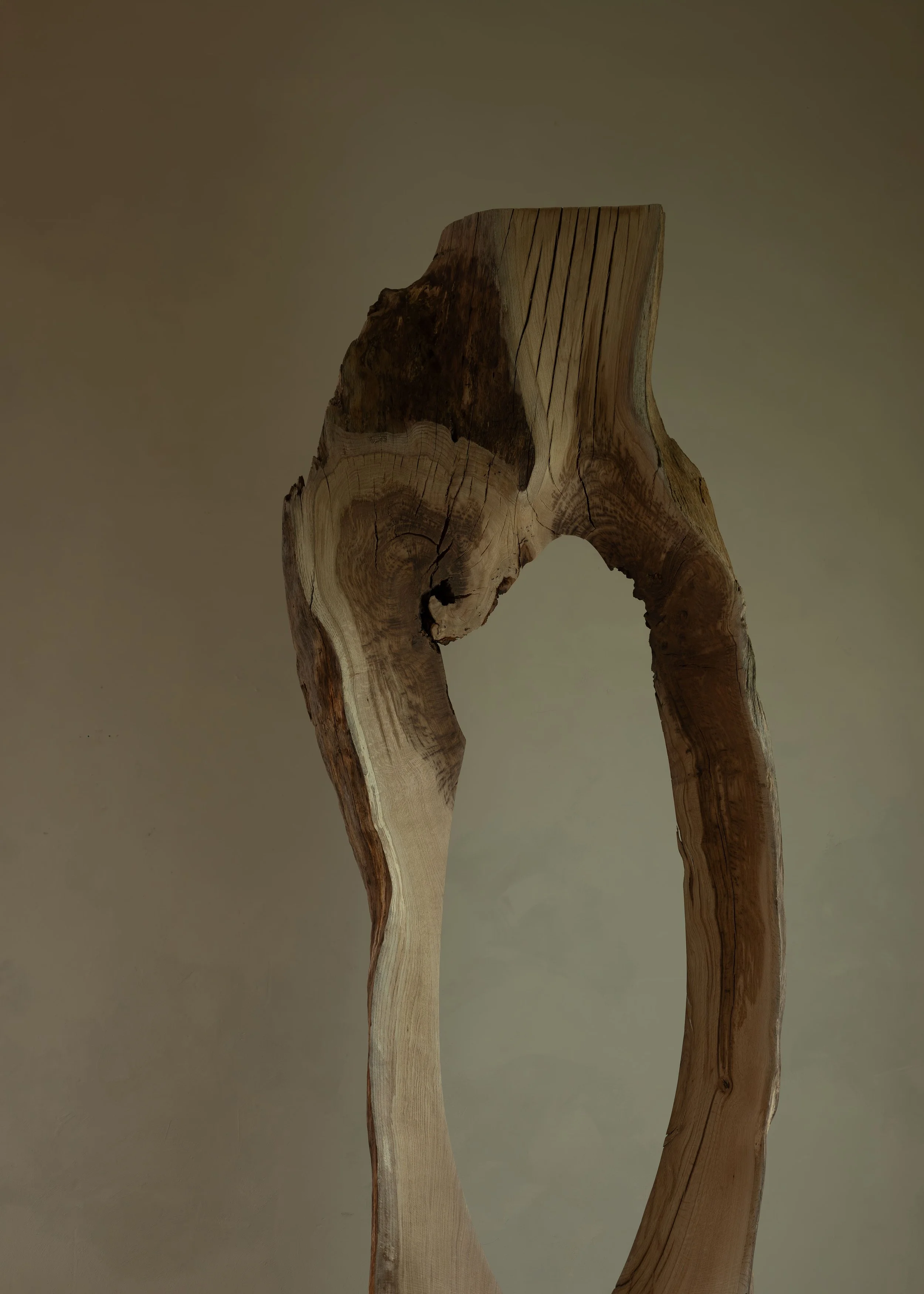 DSCF7692.jpg
