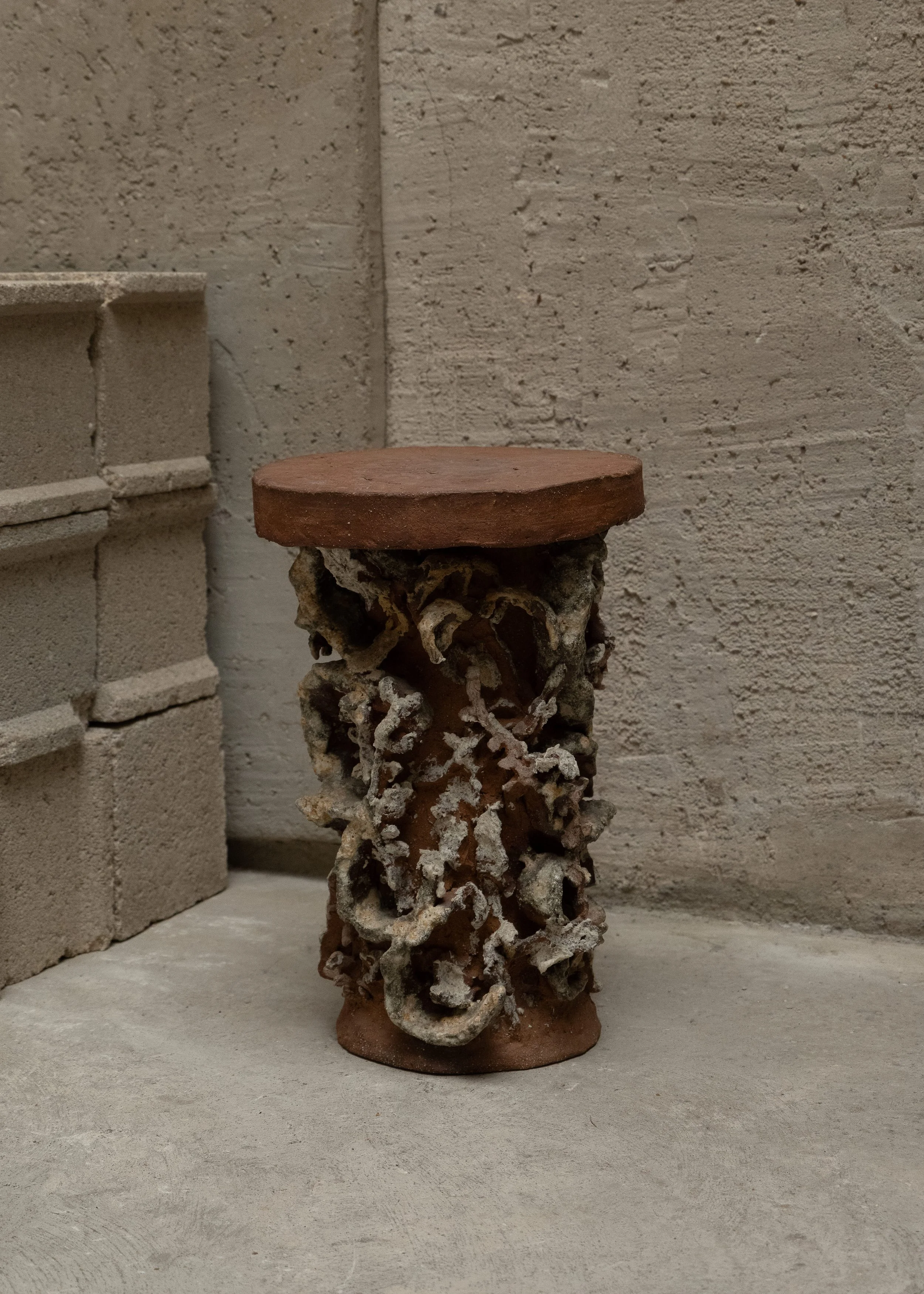 DSCF7262.jpg