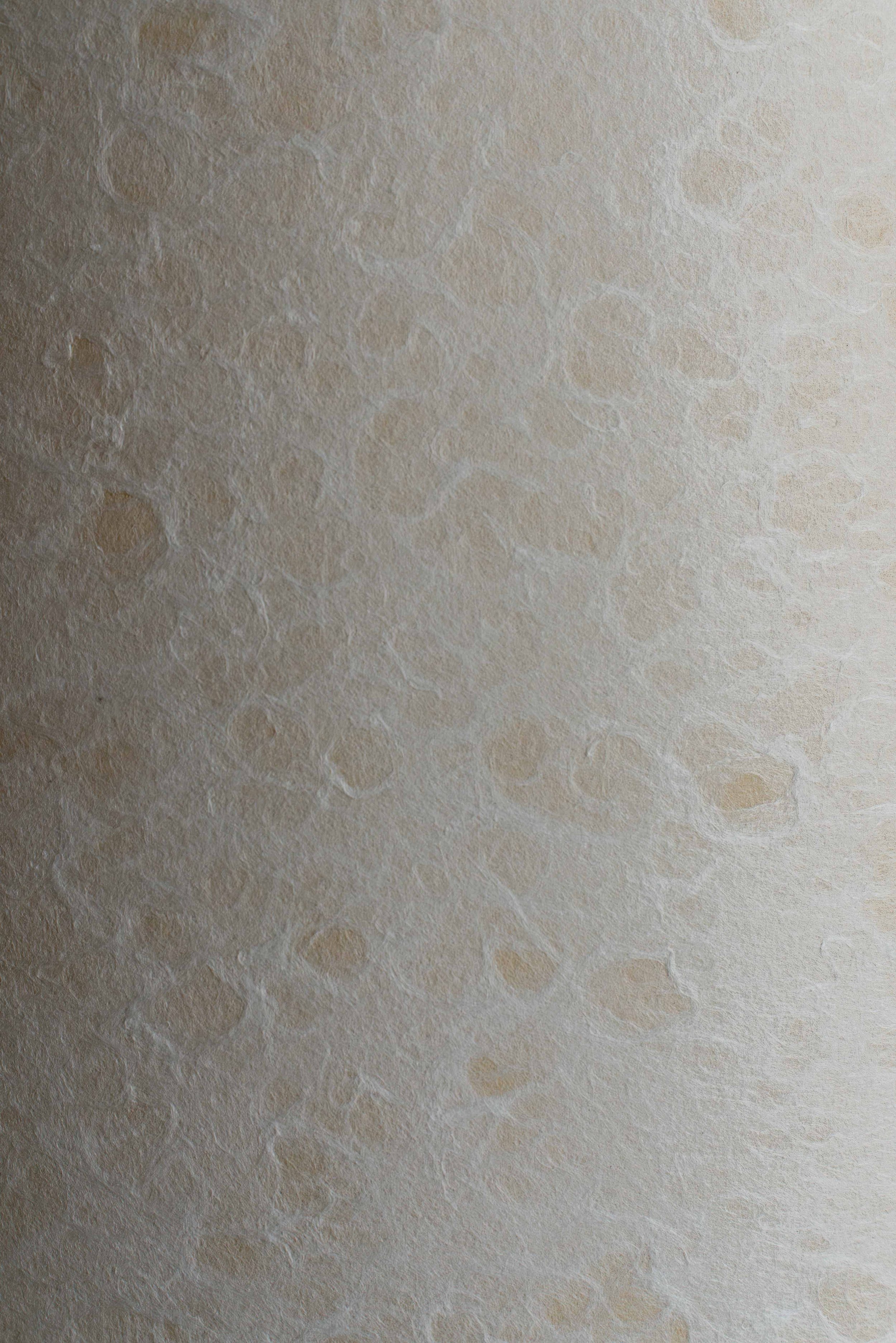 11062025-DSC00290-Avec accentuation-Bruit.jpg