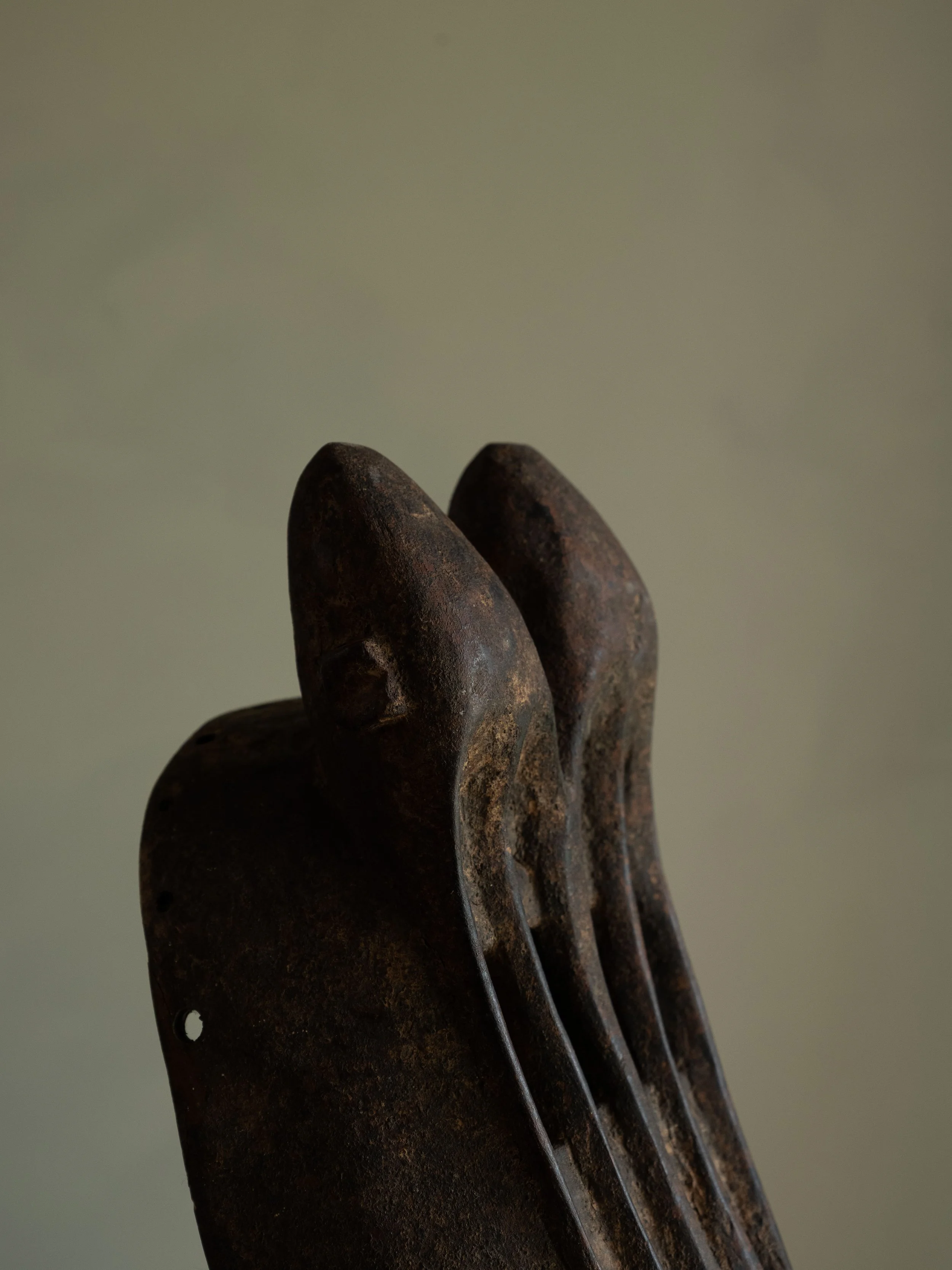 DSCF7918.jpg