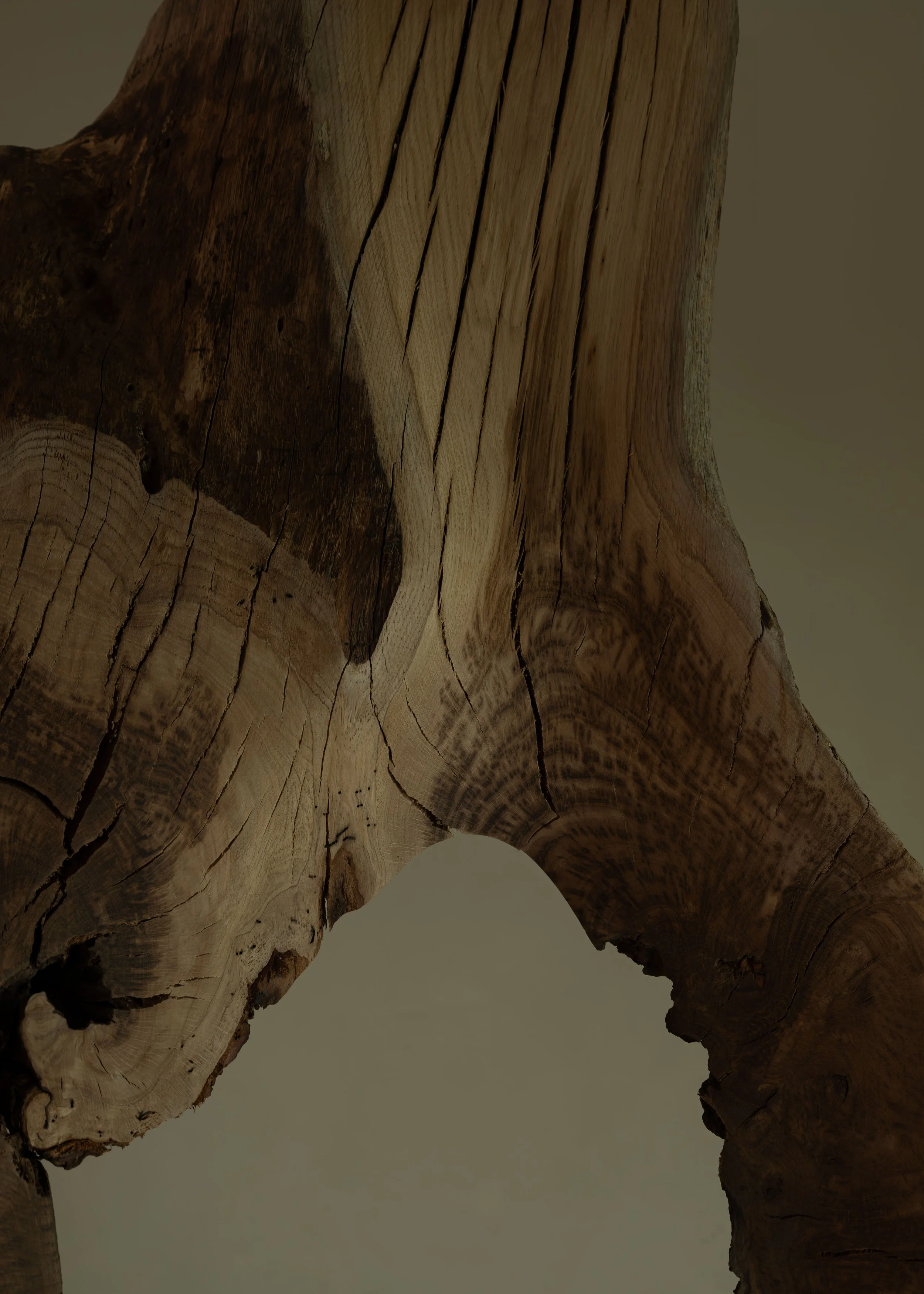 DSCF7694.jpg