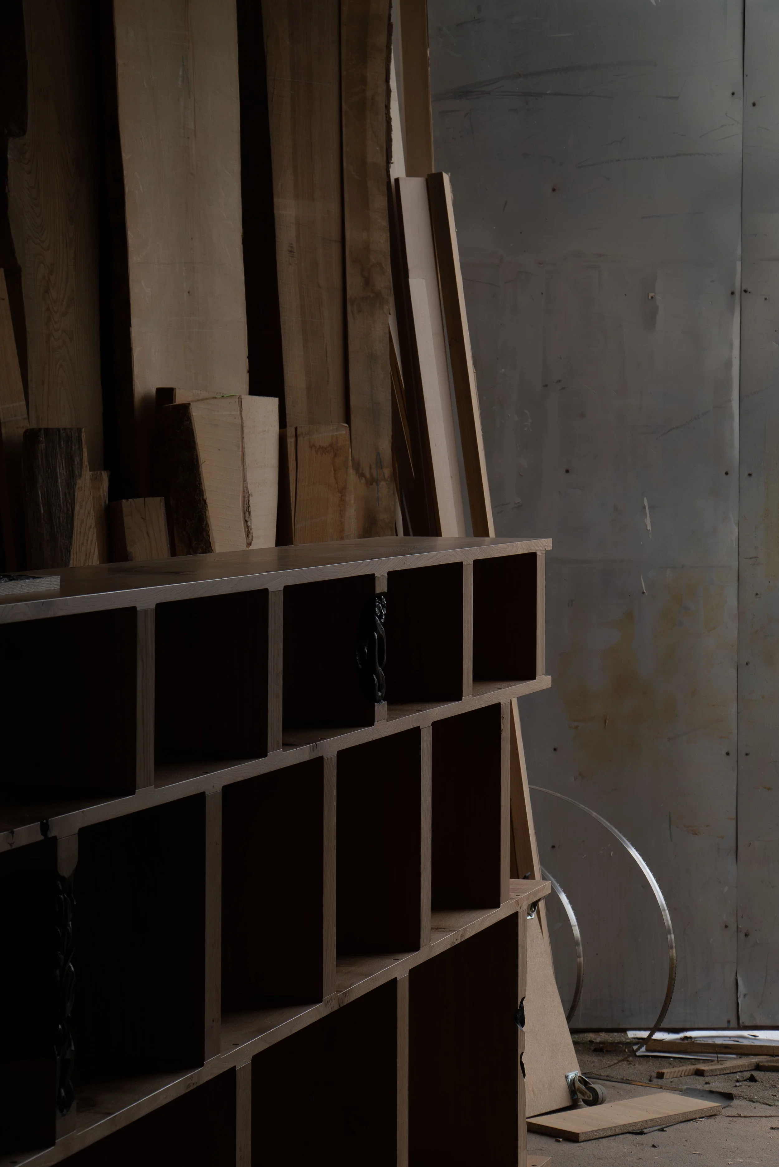 21022025-DSC03535-Avec accentuation-Bruit.jpg