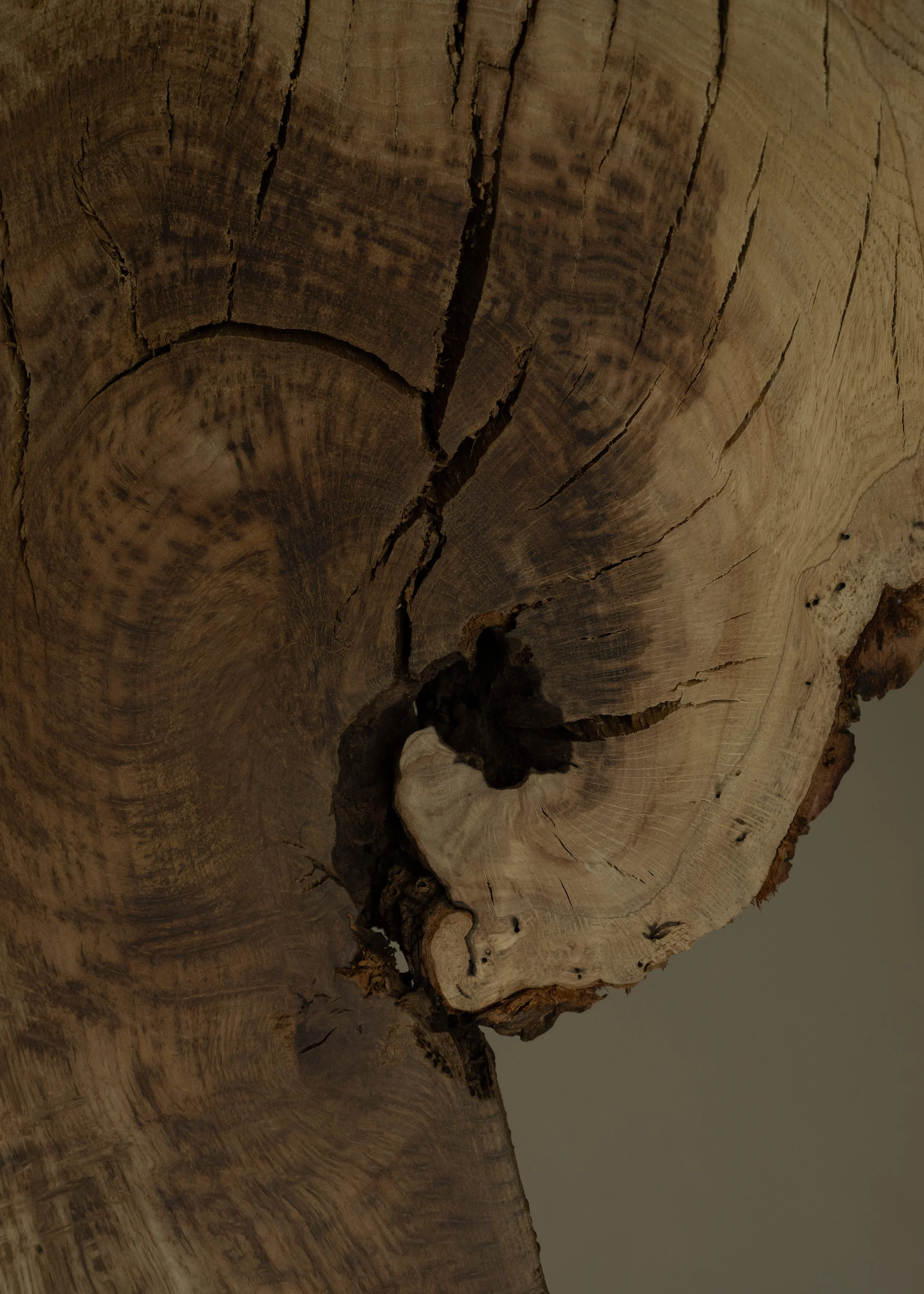 DSCF7700.jpg